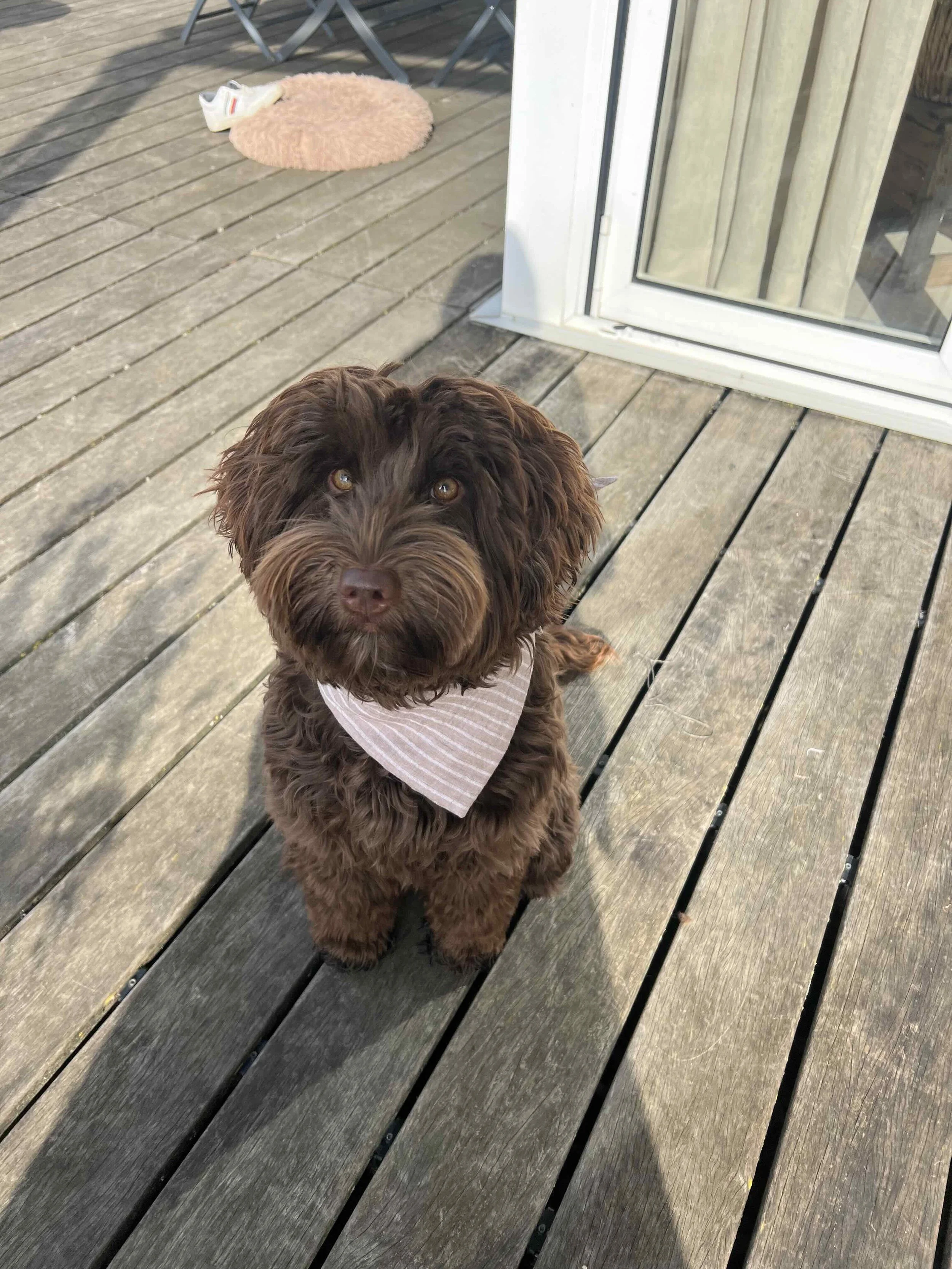 Bandana hell gestreift.jpeg