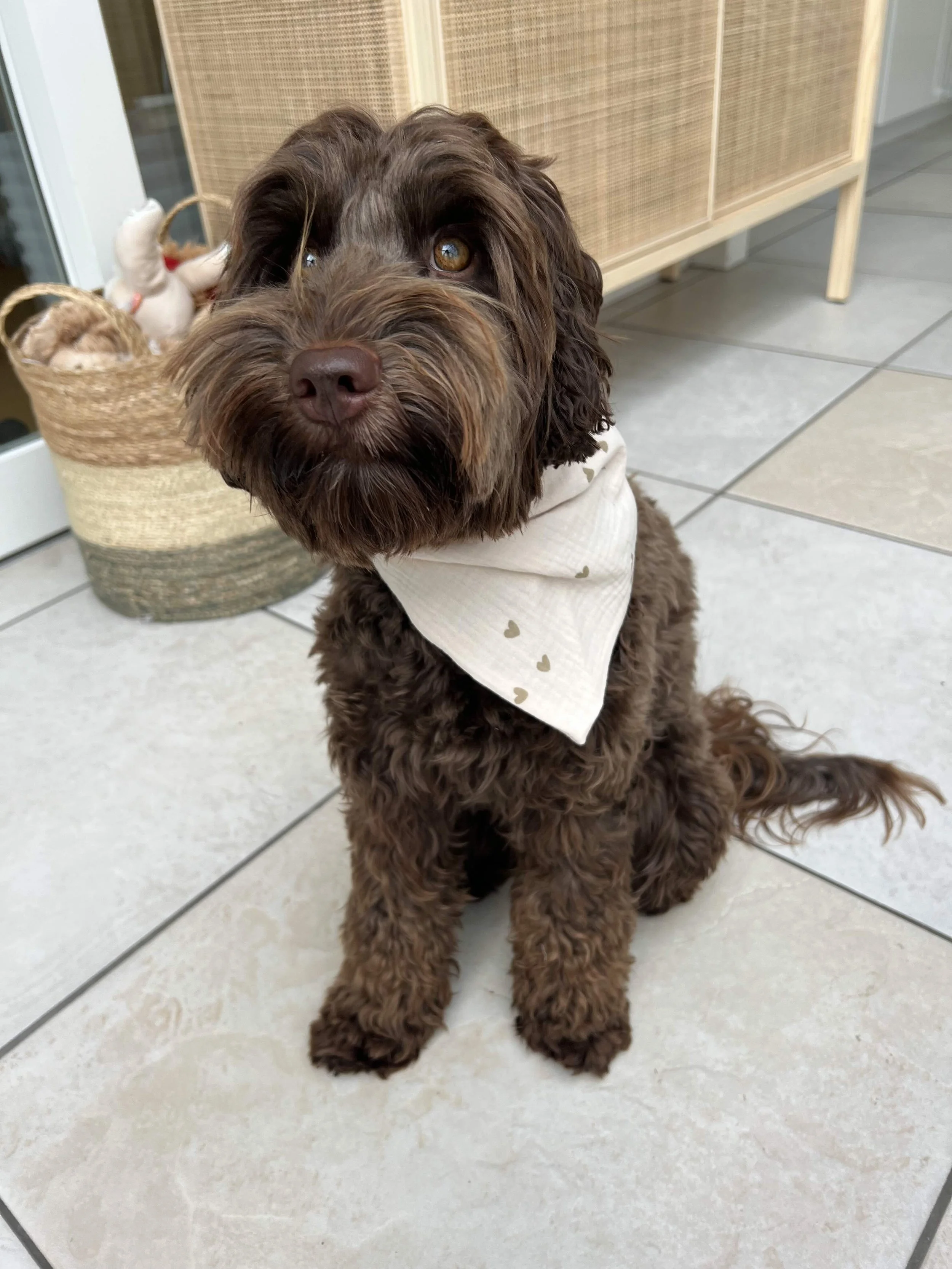 Eierschalen farbiges Bandana mit Herzen.jpeg