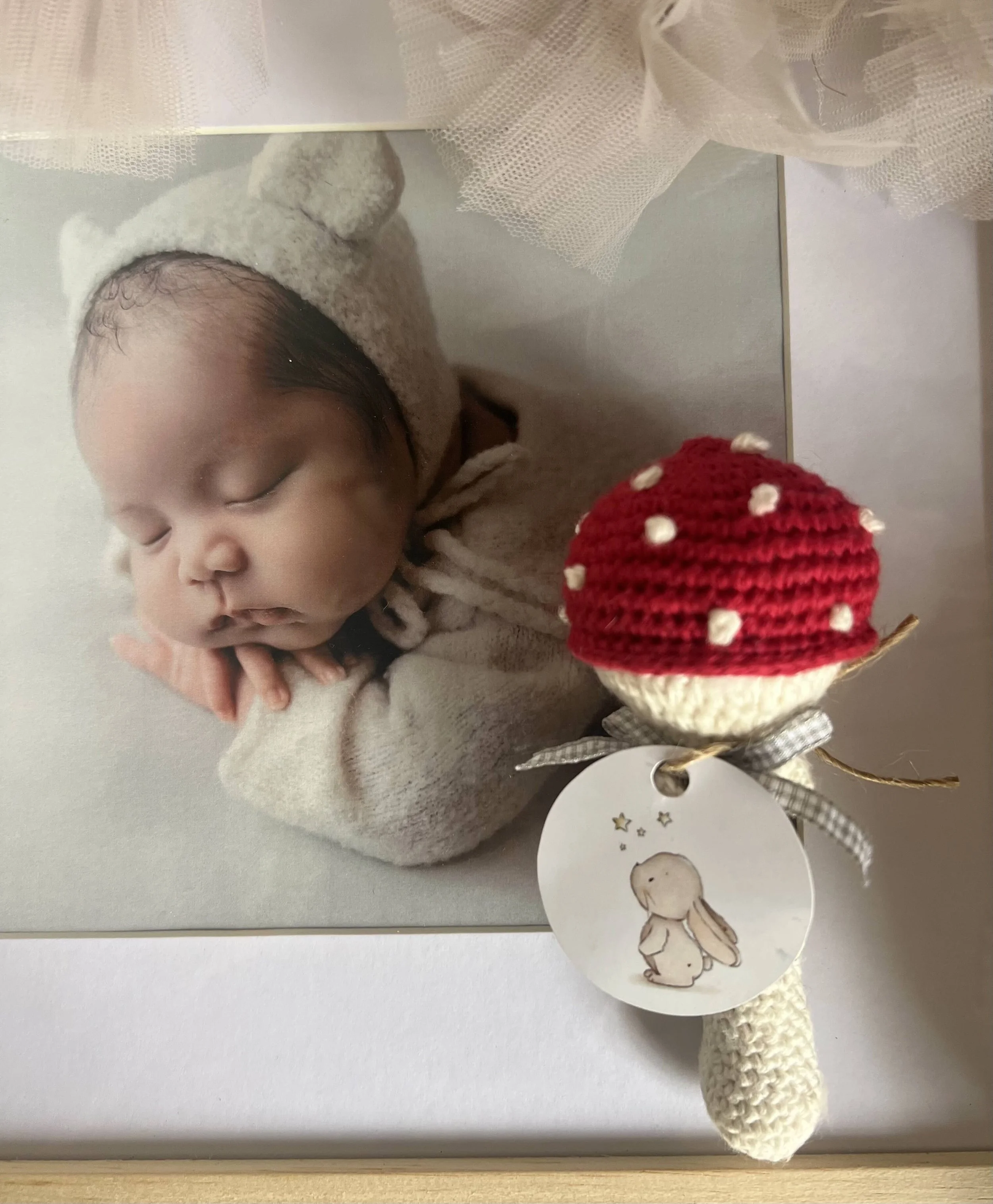 Crochet Mushroom.jpeg