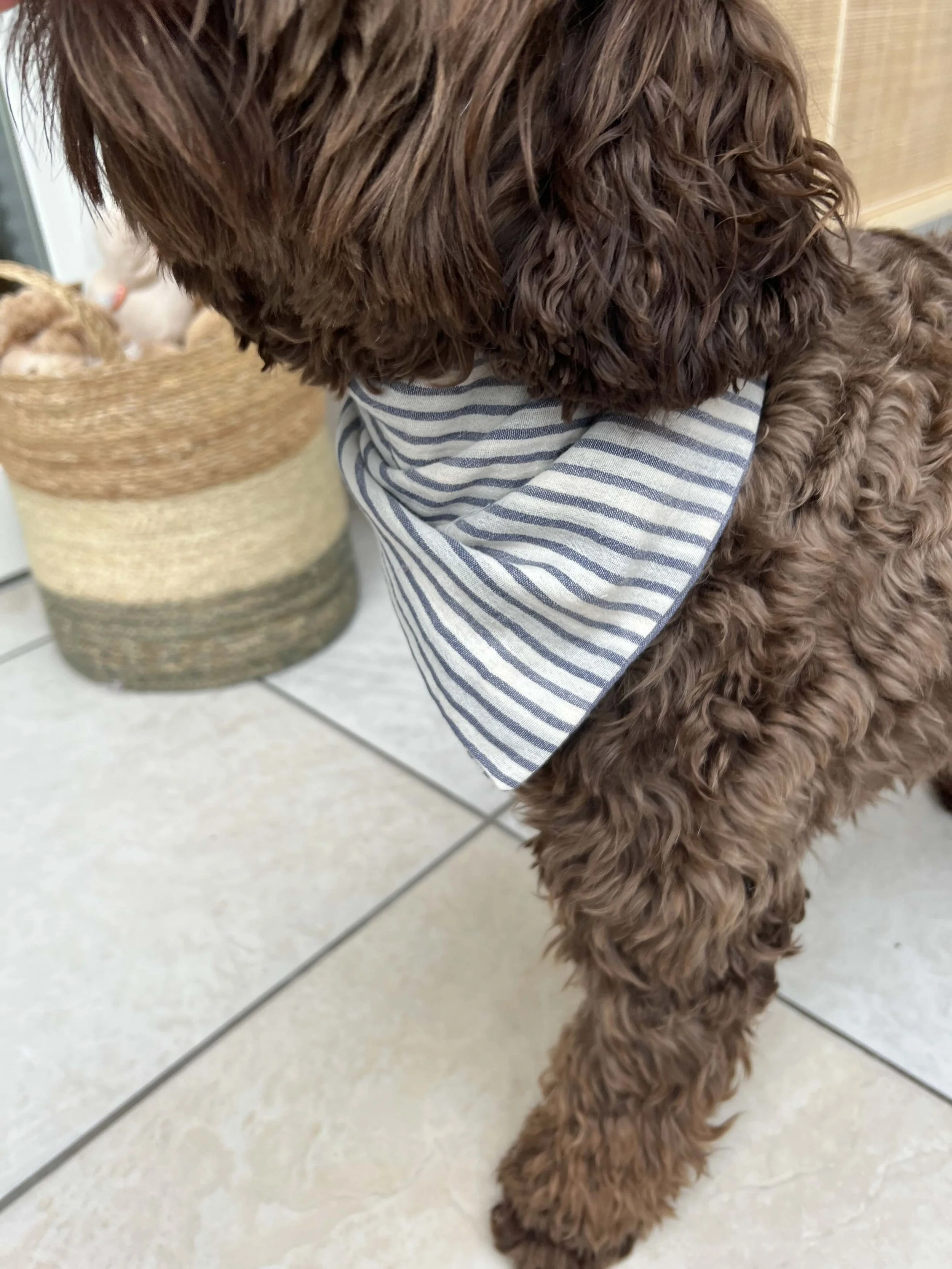 Beiges Bandana mit blauen Streifen.jpeg