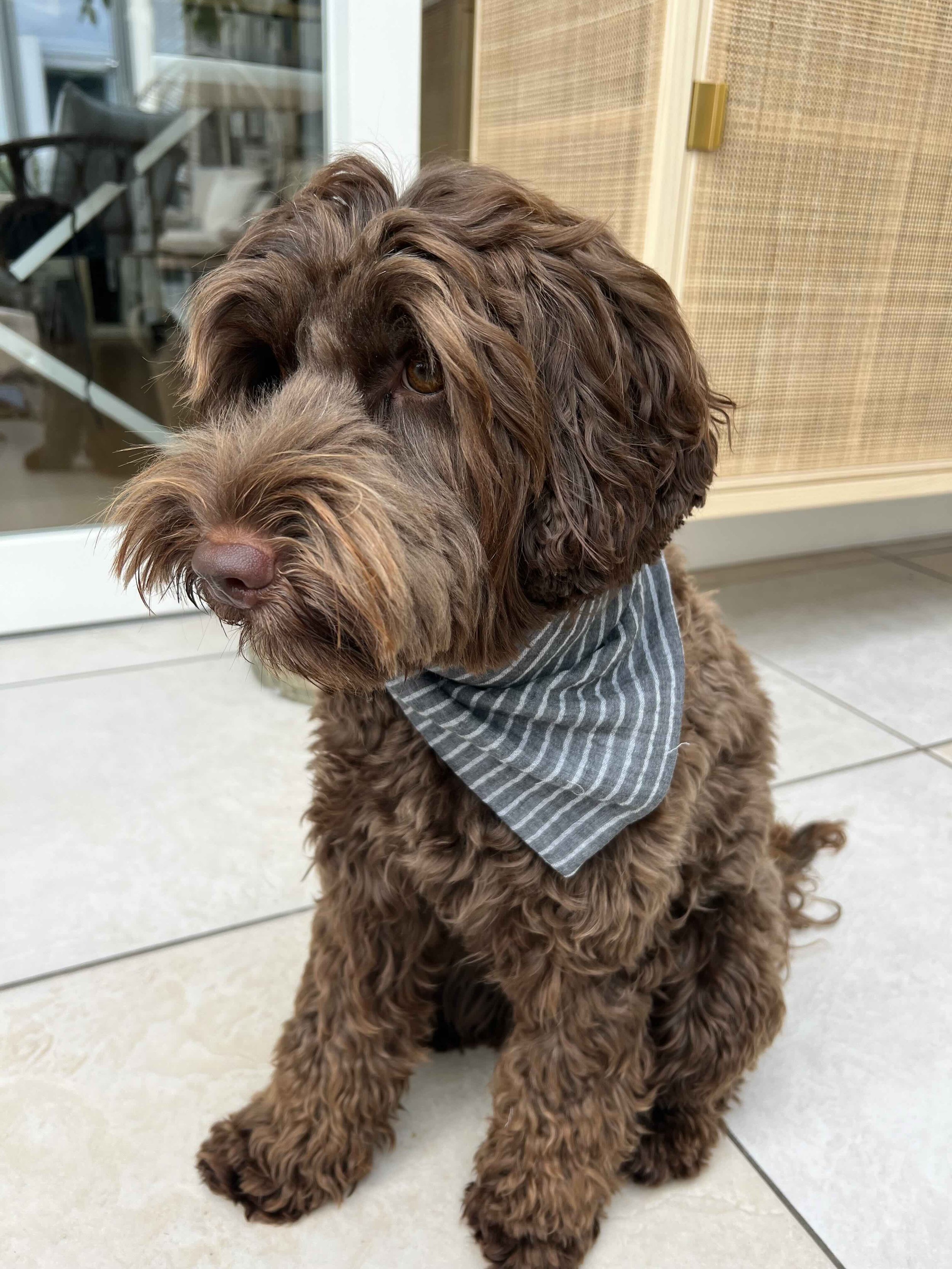 Bandana in grau mit feinen Streifen.jpeg