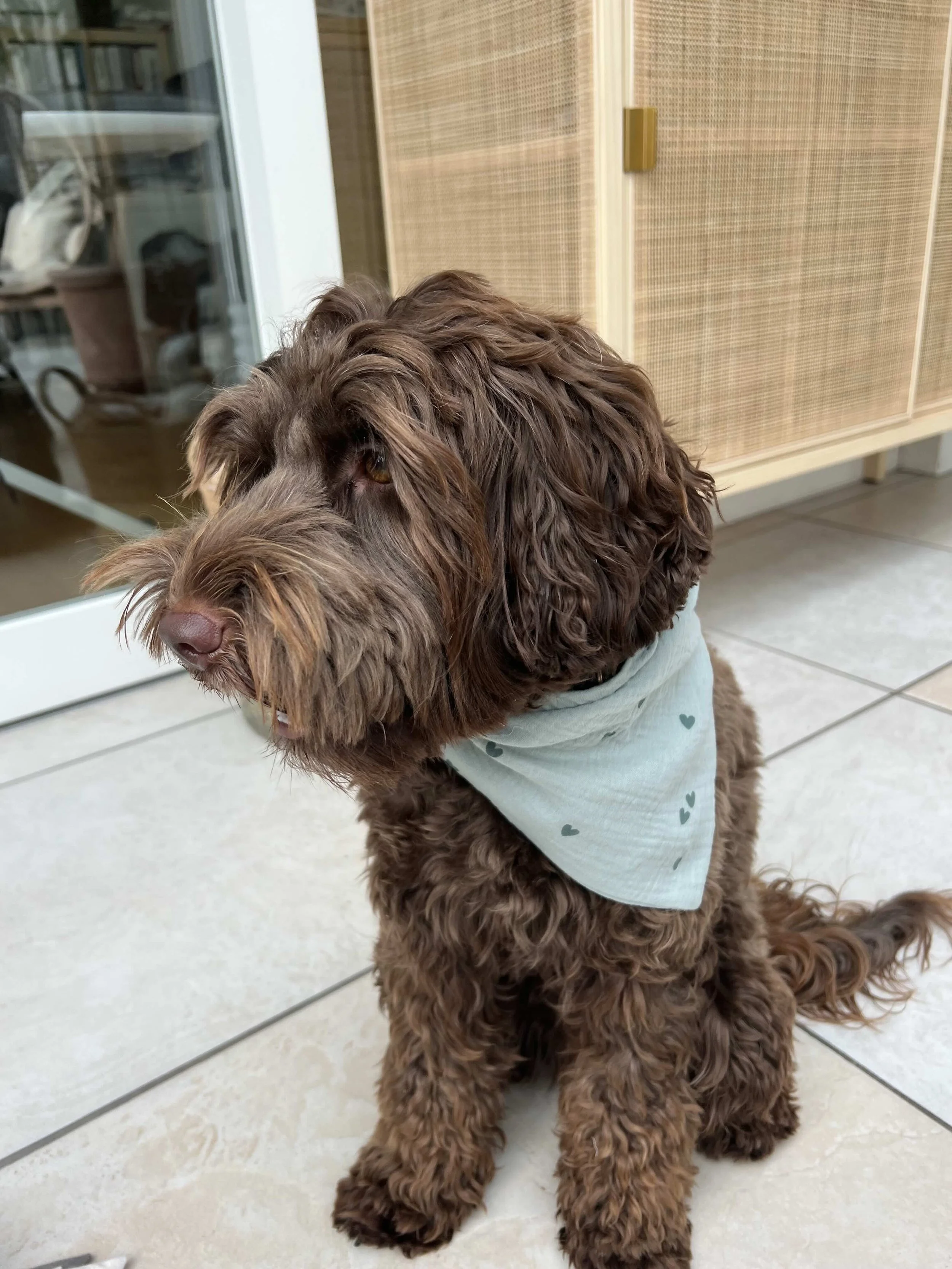 Mintfarbiges Herzbandana.jpeg