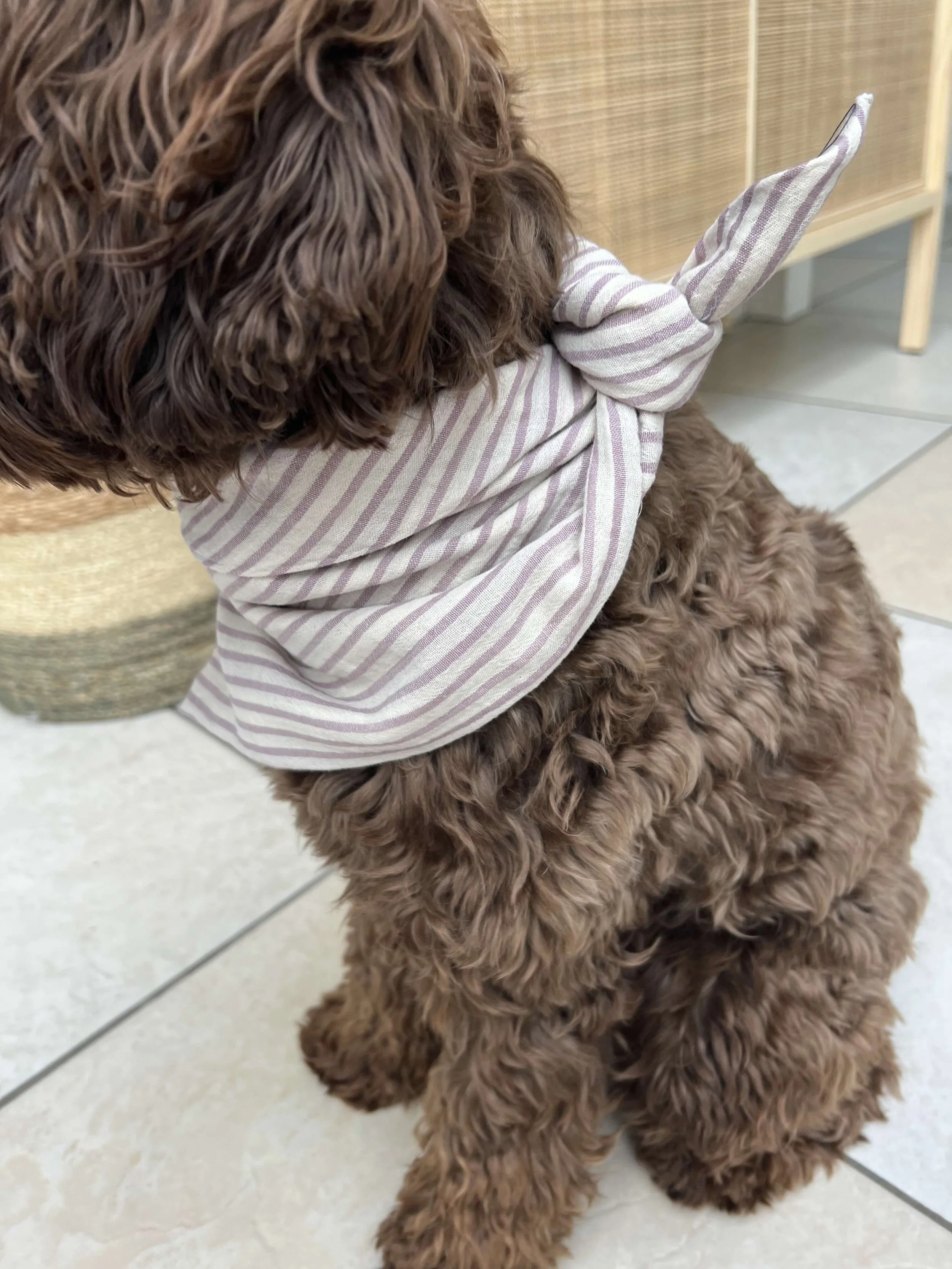 Helles Bandana mit Lila Streifen.jpeg