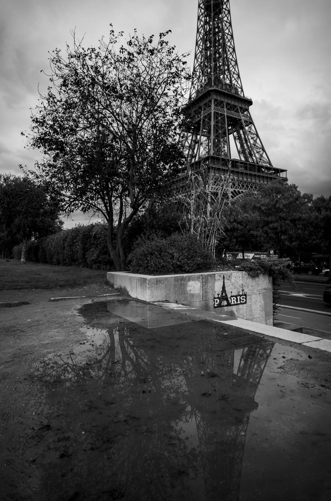 Schwarz-Weiß-Foto des Eiffelturms in Paris, mit Baum und Pfütze, die den Turm reflektiert.