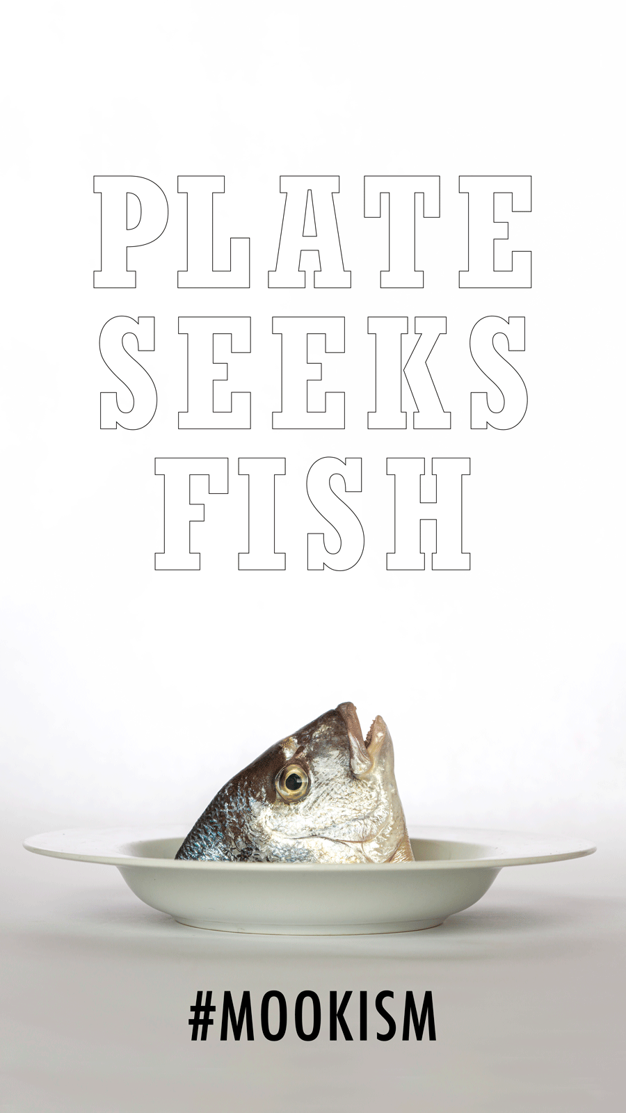PLATE-SEEKS-FISH.gif