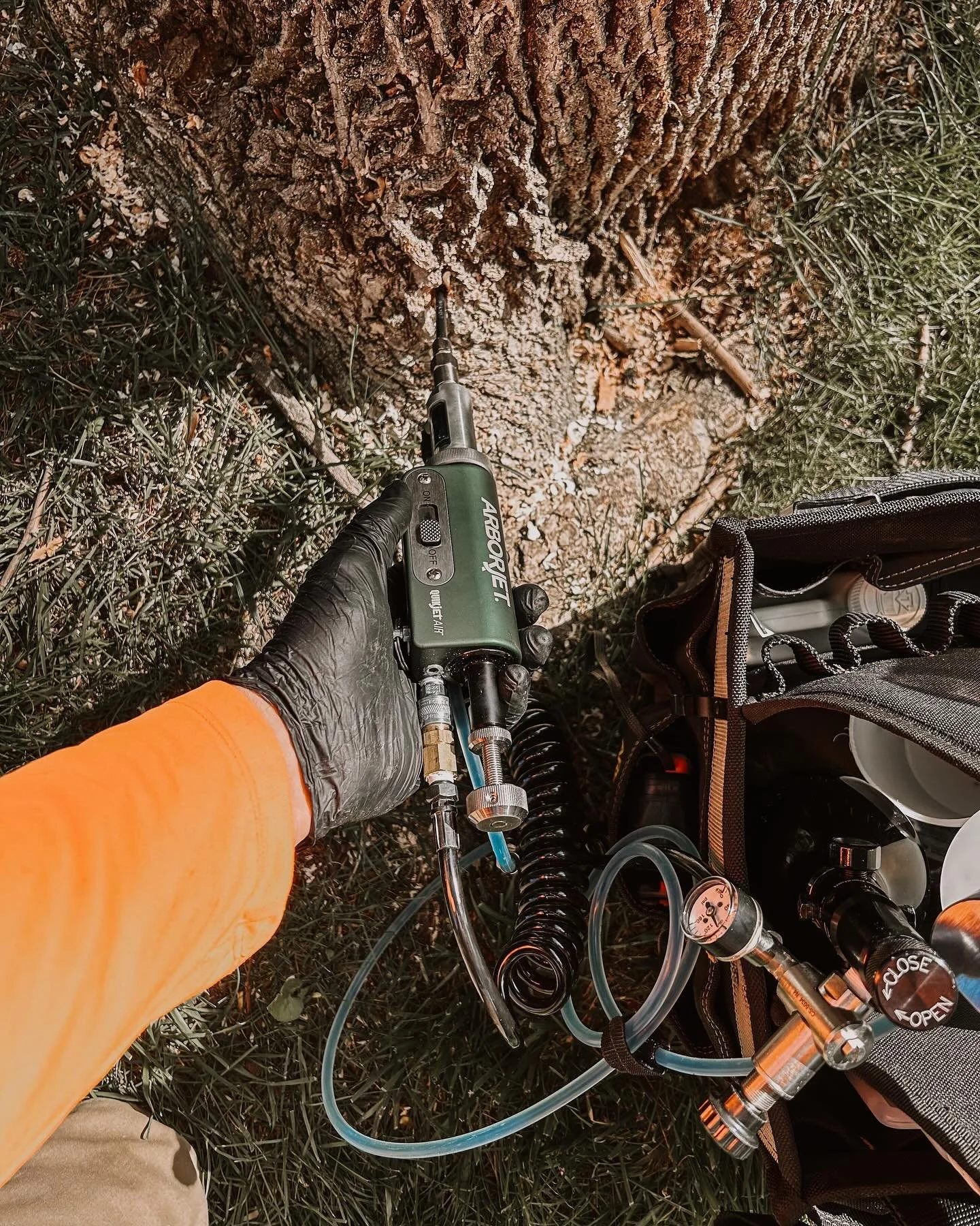 Did you know that regular tree health care can extend the life of your trees and prevent costly damage? Our plant health care programs include deep root fertilization, pest and disease management, and proactive monitoring to ensure your trees stay st