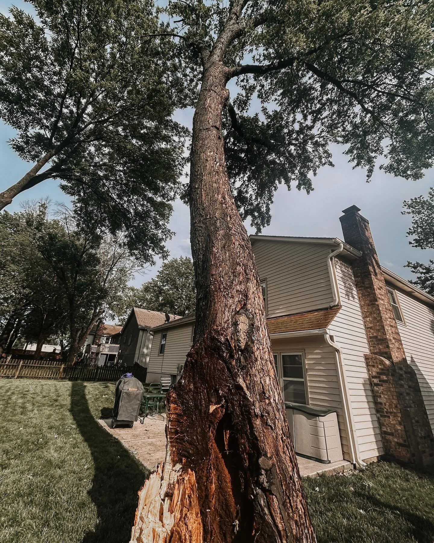 Last night we responded to an emergency call for a tree that split in half, creating a serious safety hazard to the property owners and neighbors. Trees can fail suddenly due to internal decay, storm damage, or structural weakness. If you notice crac