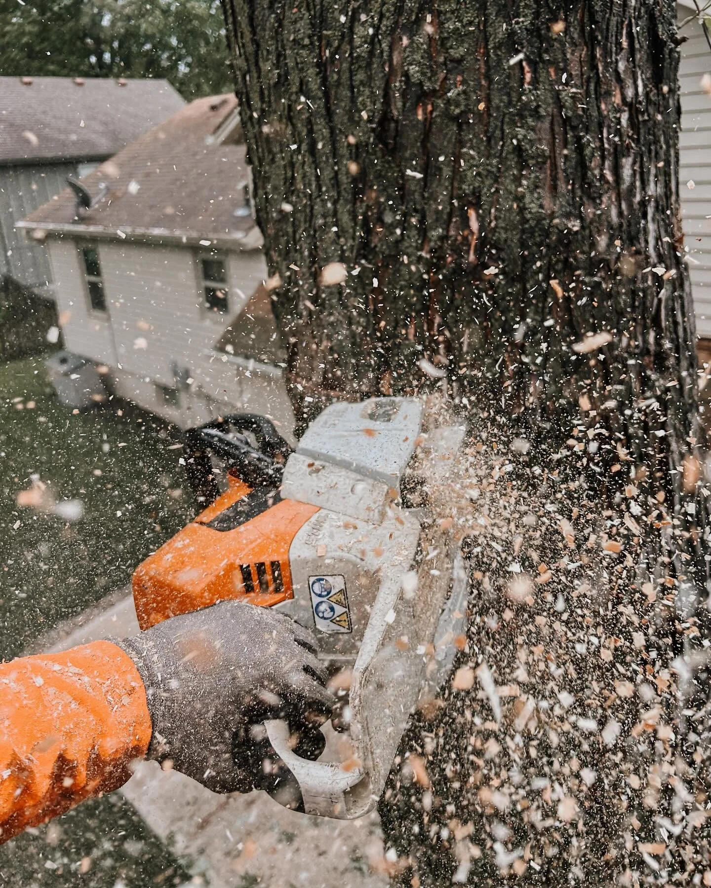 Sawdust is just man glitter 🪚🪵✨

And if you like it so much&mdash;feel free to hop on over to our website and purchase one of our new products we just launched 😎

reliabletreeservice.org/store