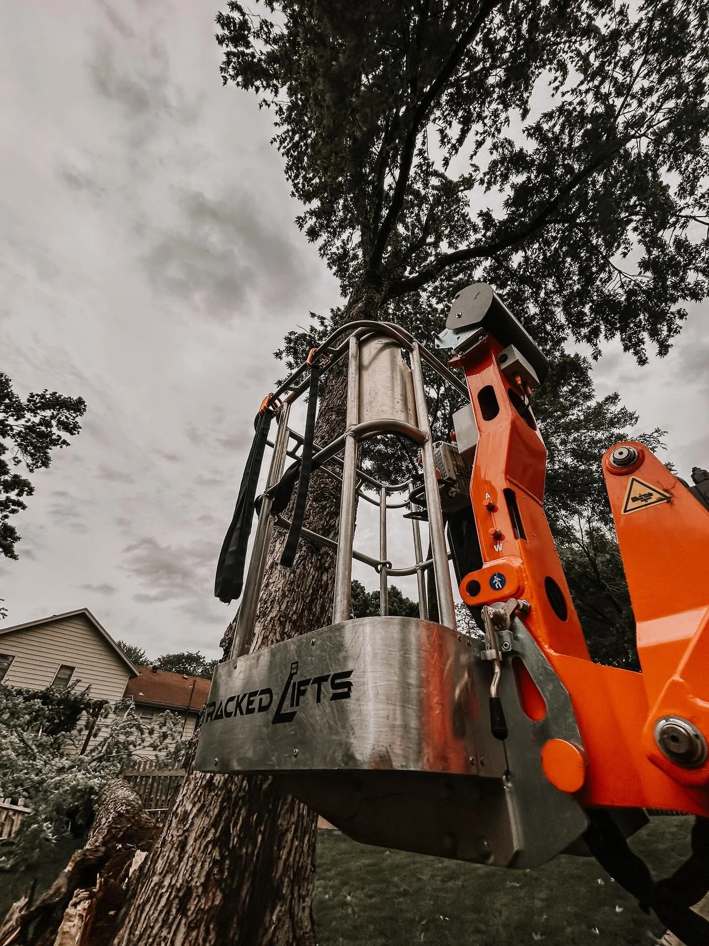 A tree lift is a compact, powerful tool that helps our arborists reach tall trees and tight spots where climbing isn&rsquo;t safe or practical. Its extendable boom can reach 75 feet and is narrow enough to fit through gates or between buildings - per