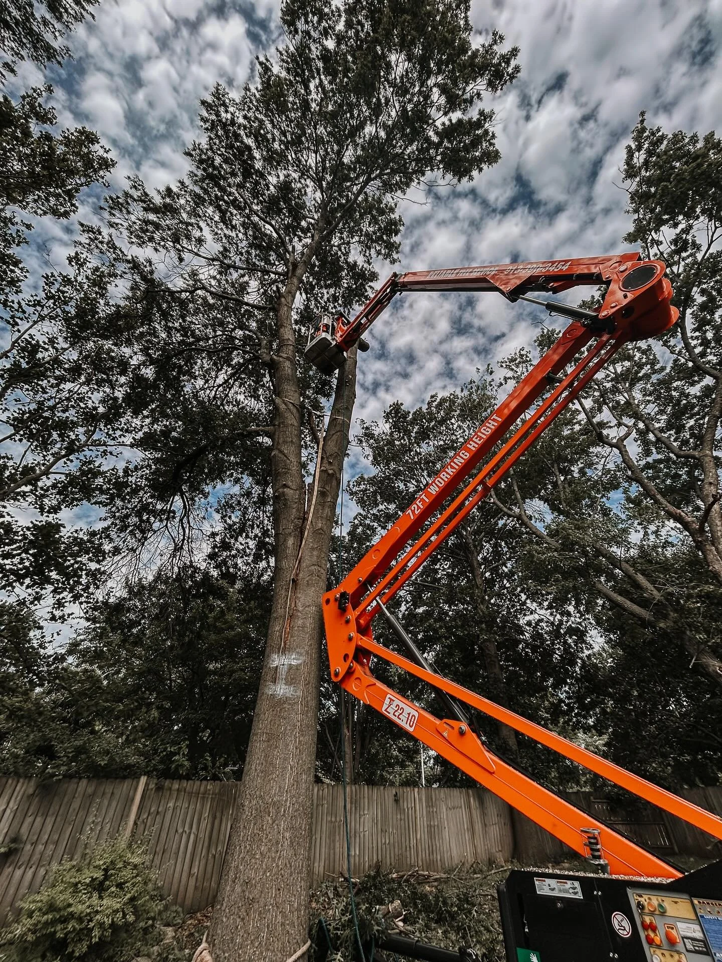 🌳⚠️ Safety first! We carefully removed a towering, hazardous oak that had become a serious risk. Due to its height and instability, we braced the tree before removal to ensure a safe and controlled process. Precision, protection, and professionalism
