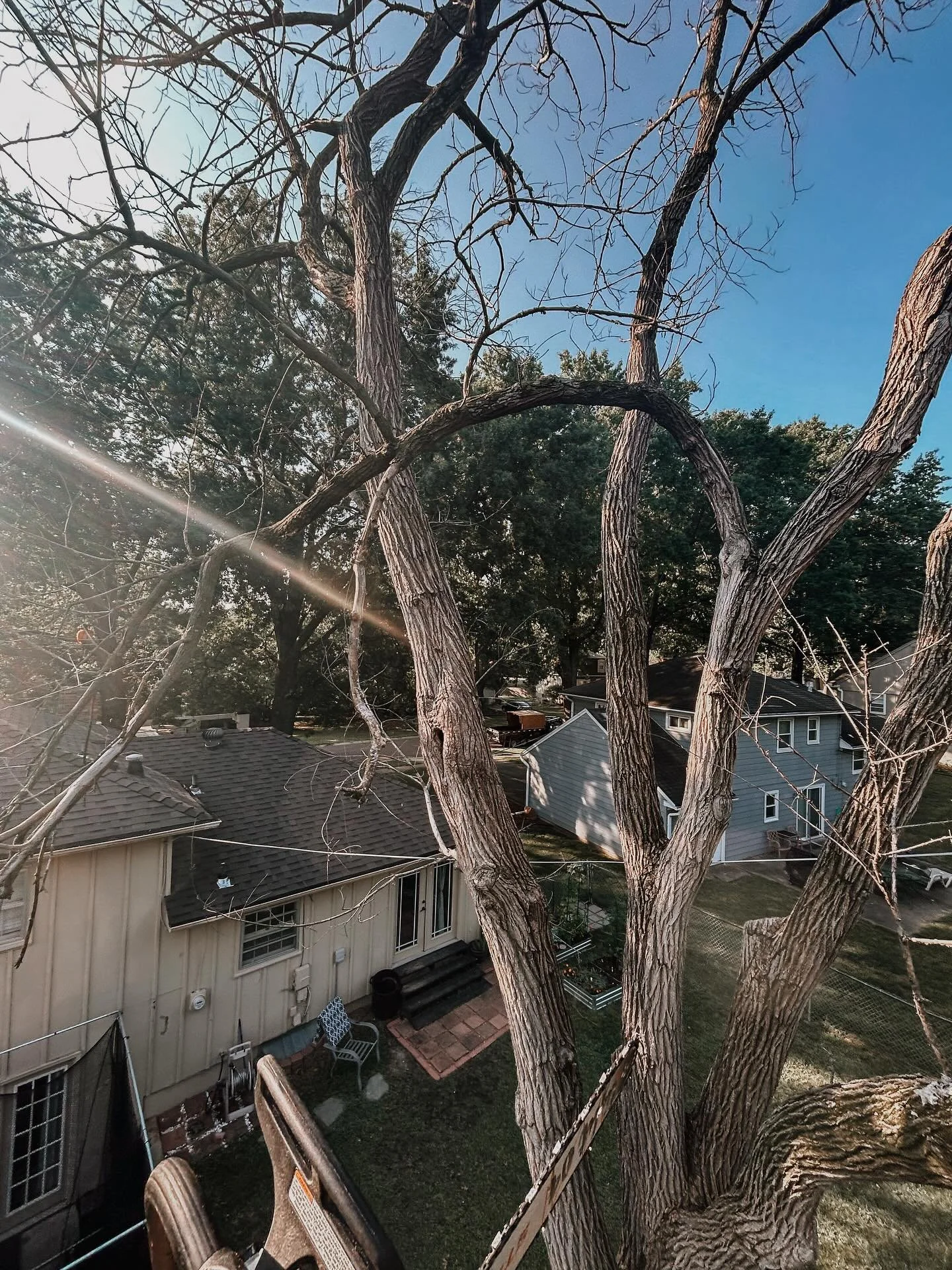 High branches and high standards 🔥💯🌳

#tree #treeservice #arborist #treeremoval #treework #treecare #treelife #treesurgeon #treeclimber #arboristlife #treelovers