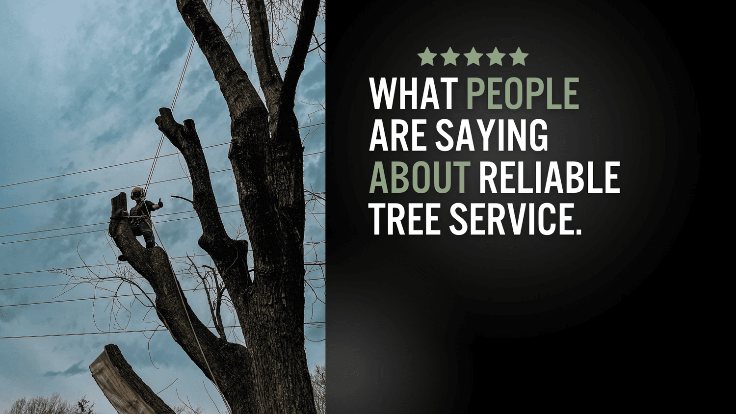 Reliable Tree Service