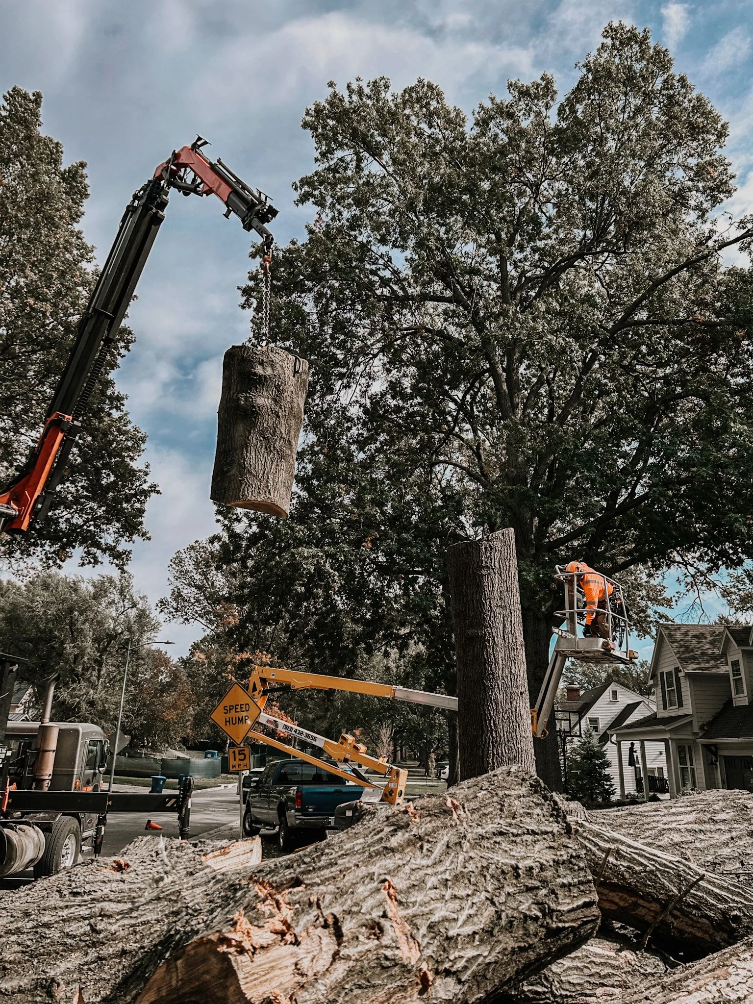 Tree removal operation with large logs, crane lifting trunk section, worker on elevated platform, residential street, and speed hump sign.