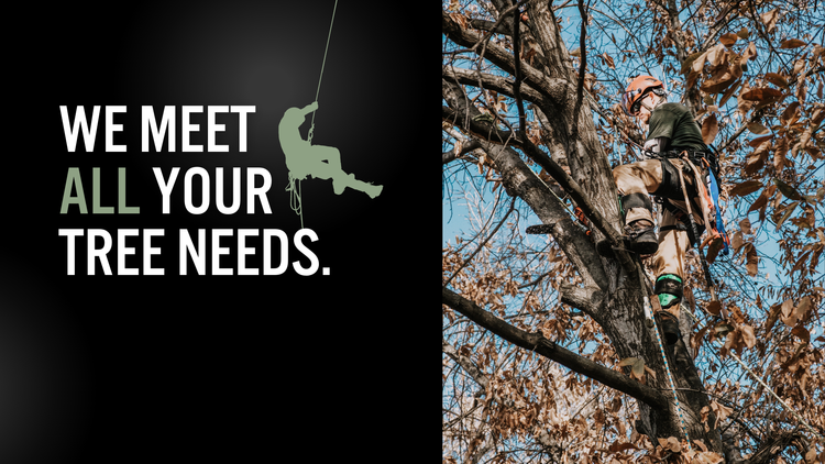 Reliable Tree Service