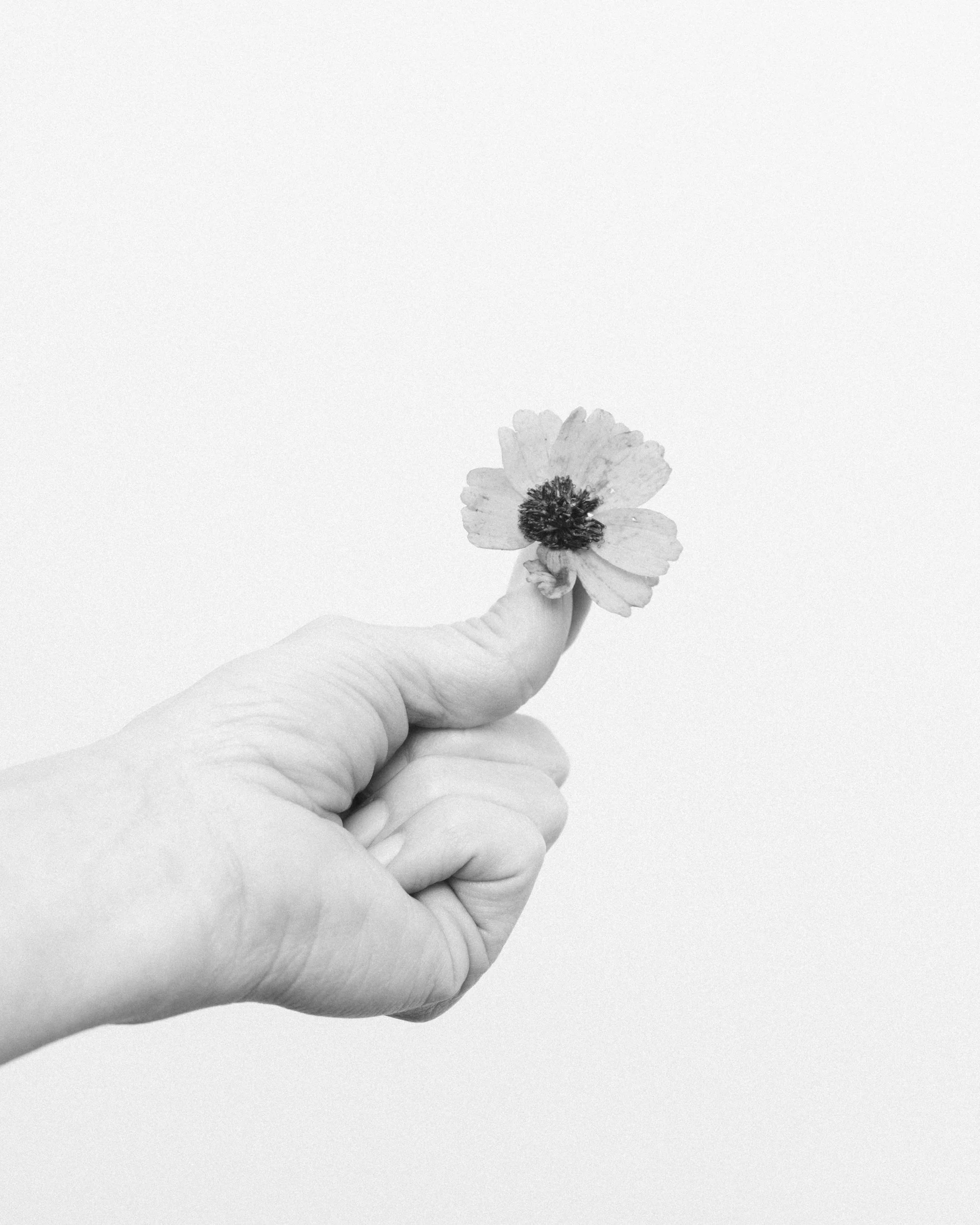 SENZA 2YR - ERIC MORALES - 53.jpg