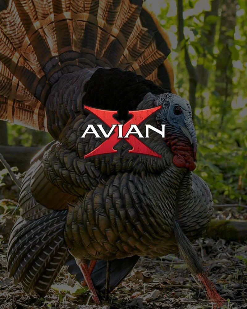 avianx.jpg