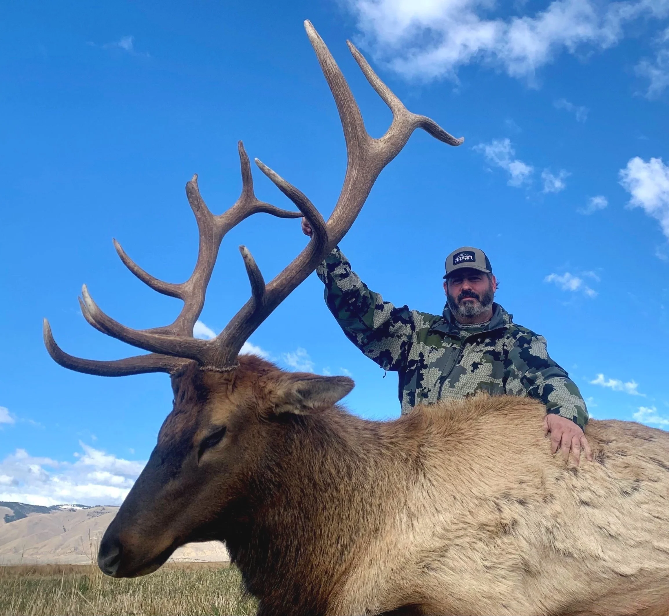 Elk — Joker's Wild Outdoors