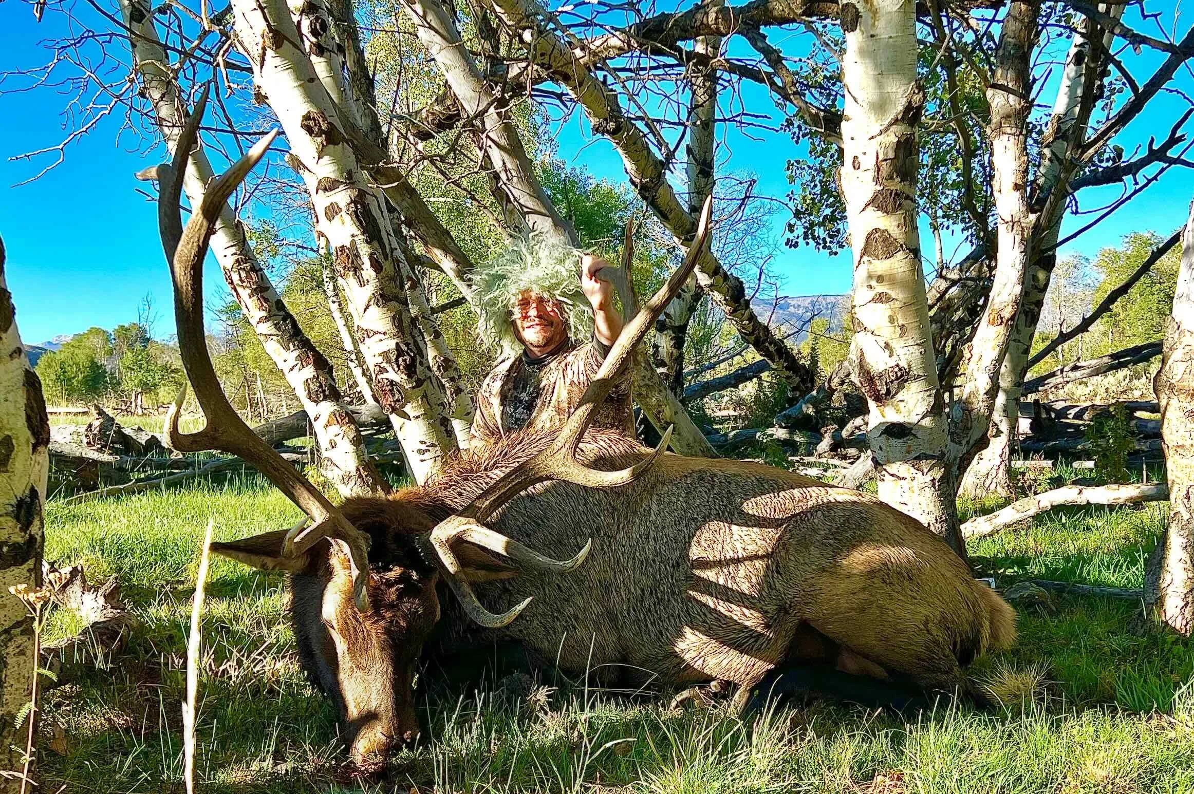 archery elk 1.jpg