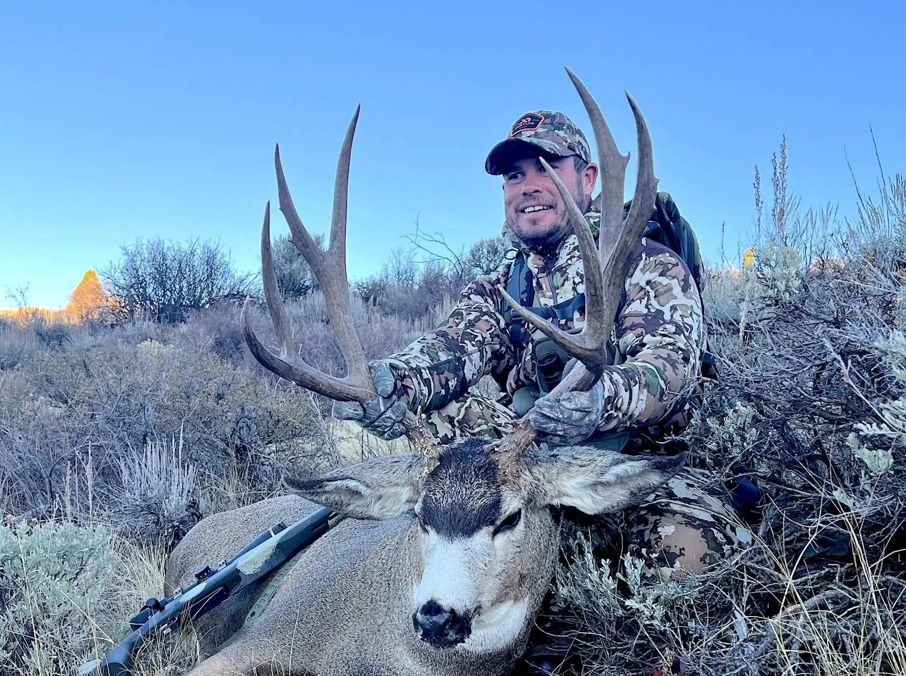 mule deer 23r.jpg