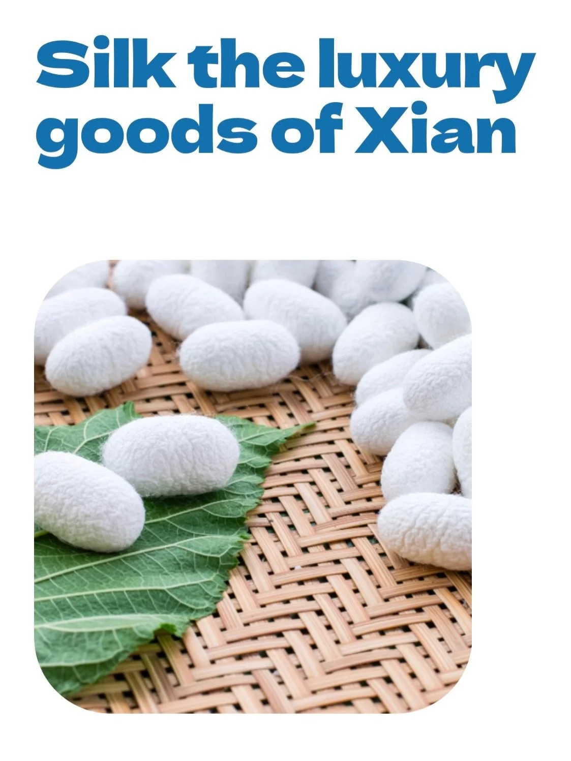 During the Silk Road&rsquo;s early days, Xian&rsquo;s silk production became the largest in China. 

To this day, many silk factories are located here and still produce and export to meet international demand. 

For anyone interested in taking a tour