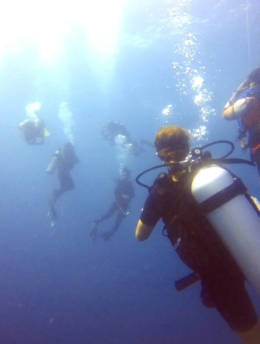 In 2019, I went diving for the first time. It is the year I met the love of my life deep down in the heart of the waves. Last night I scrolled through my old pictures and stopped at this one. 
On this dive, we met a turtle in a coral reef and a schoo