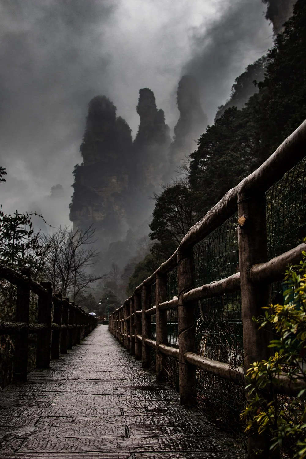 Tianmen Mountain Path