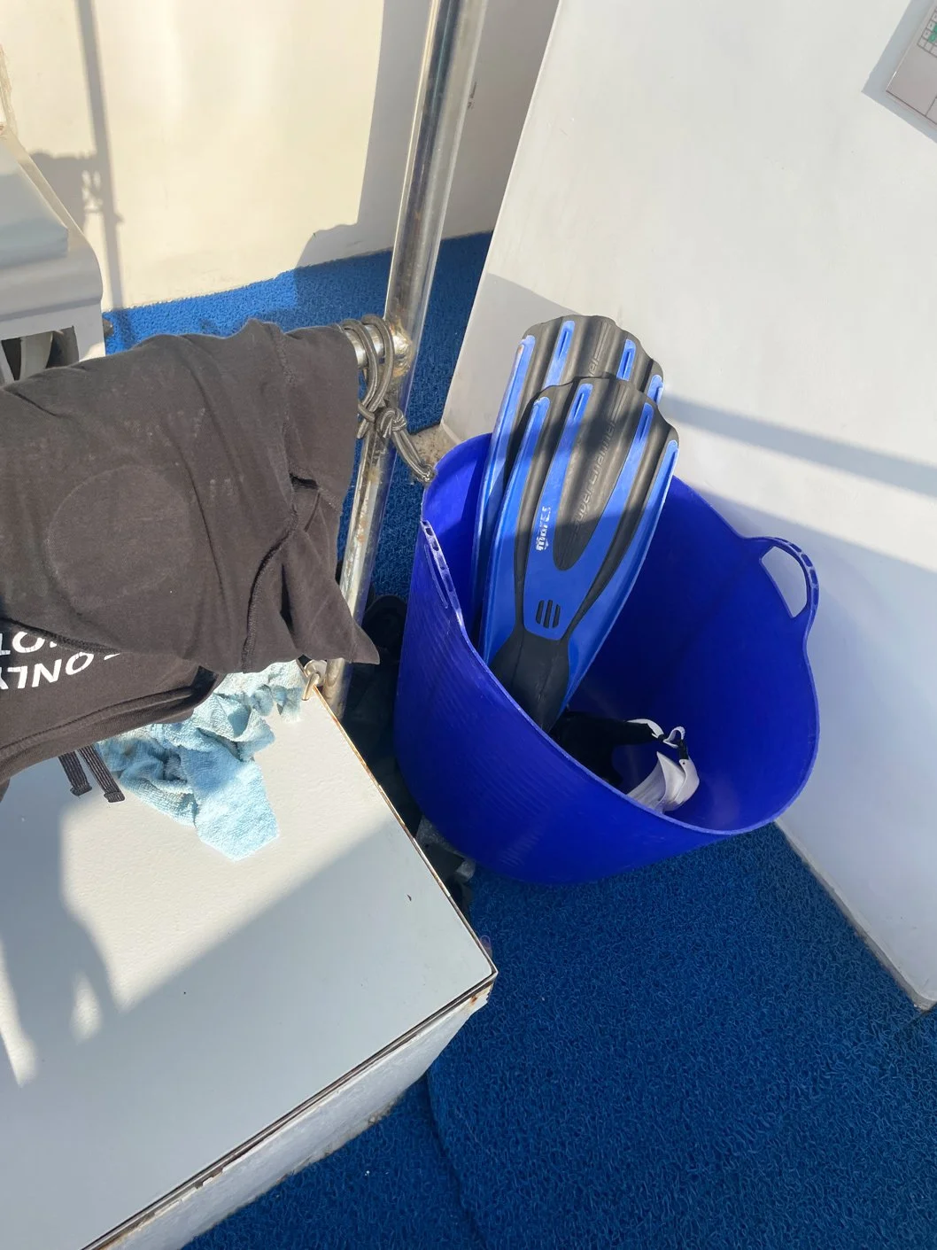 small-dive-with-7.jpg