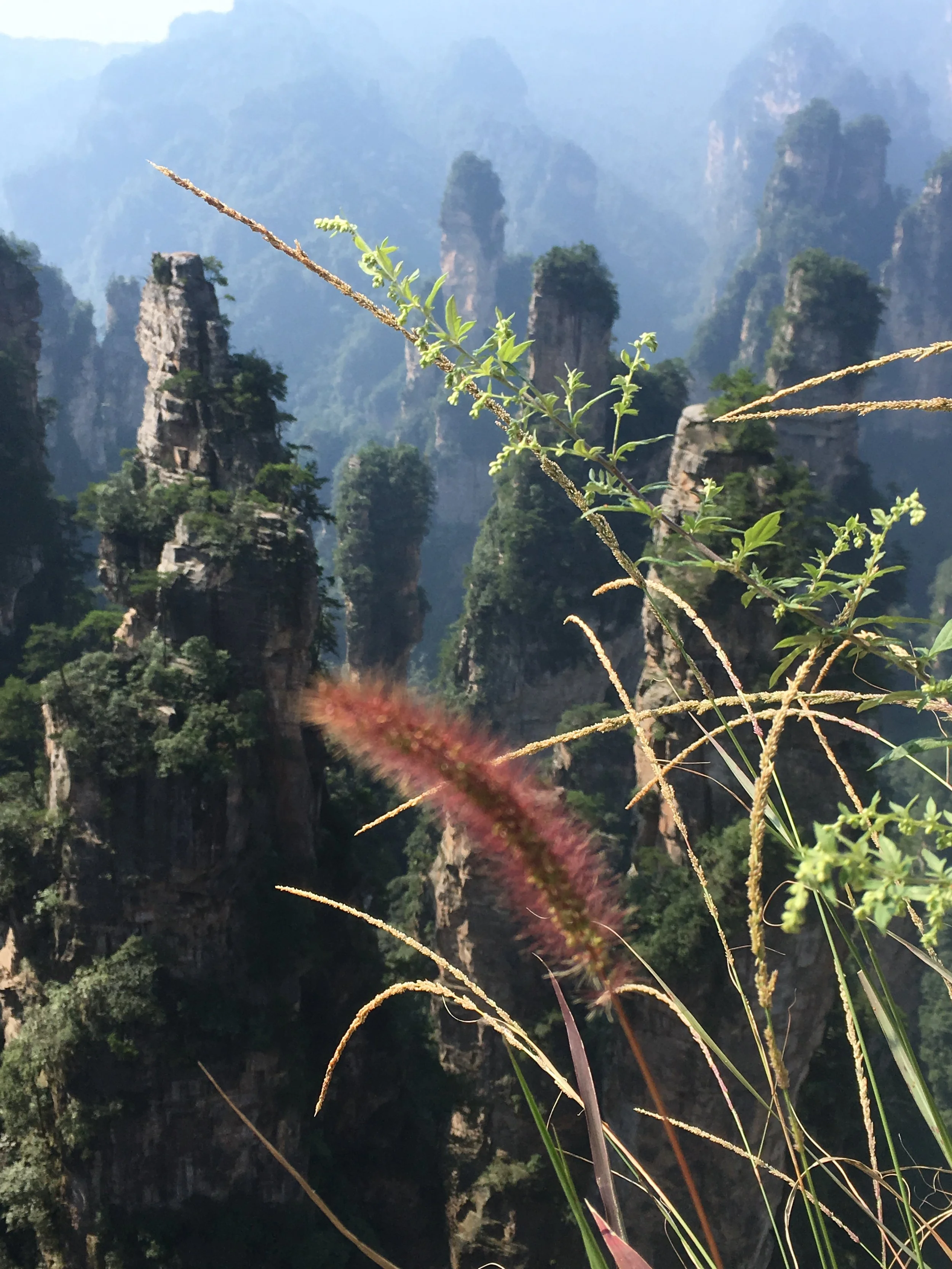 Zhangjiajie Region 