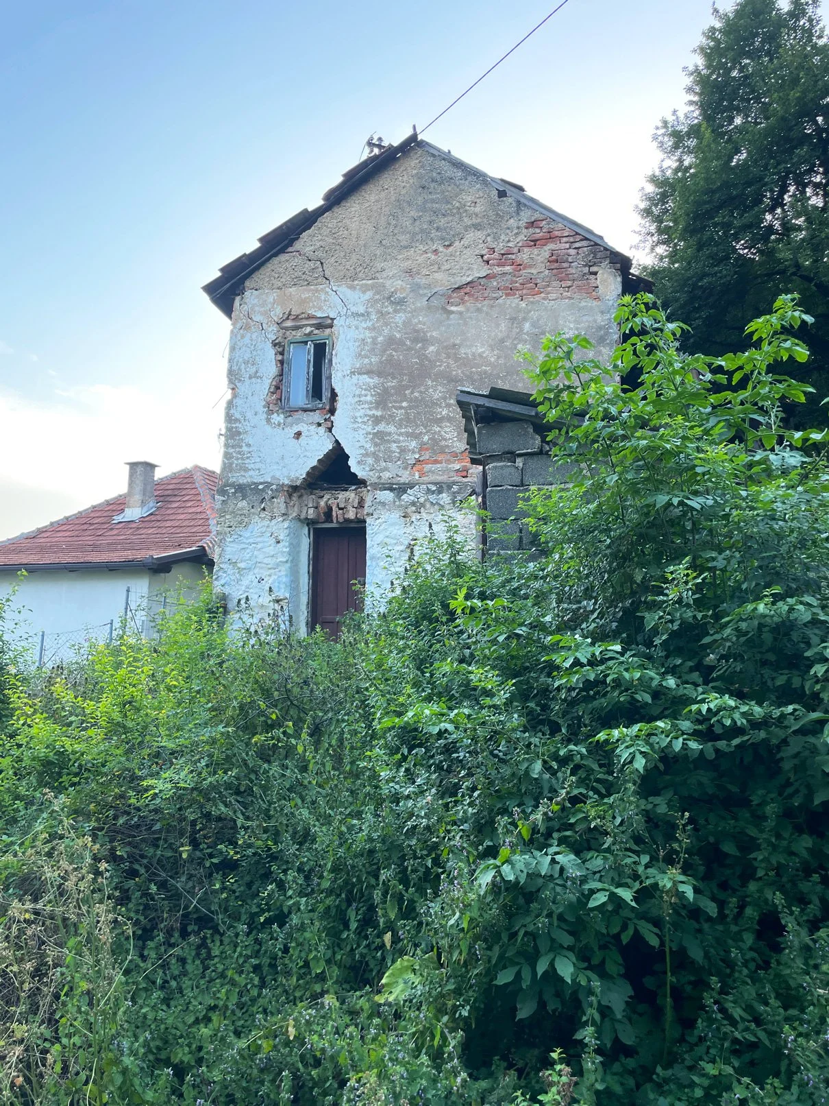 small-14.jpg