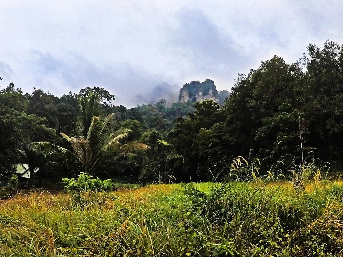 jungle-walk-tonsai-to-railay-.jpg