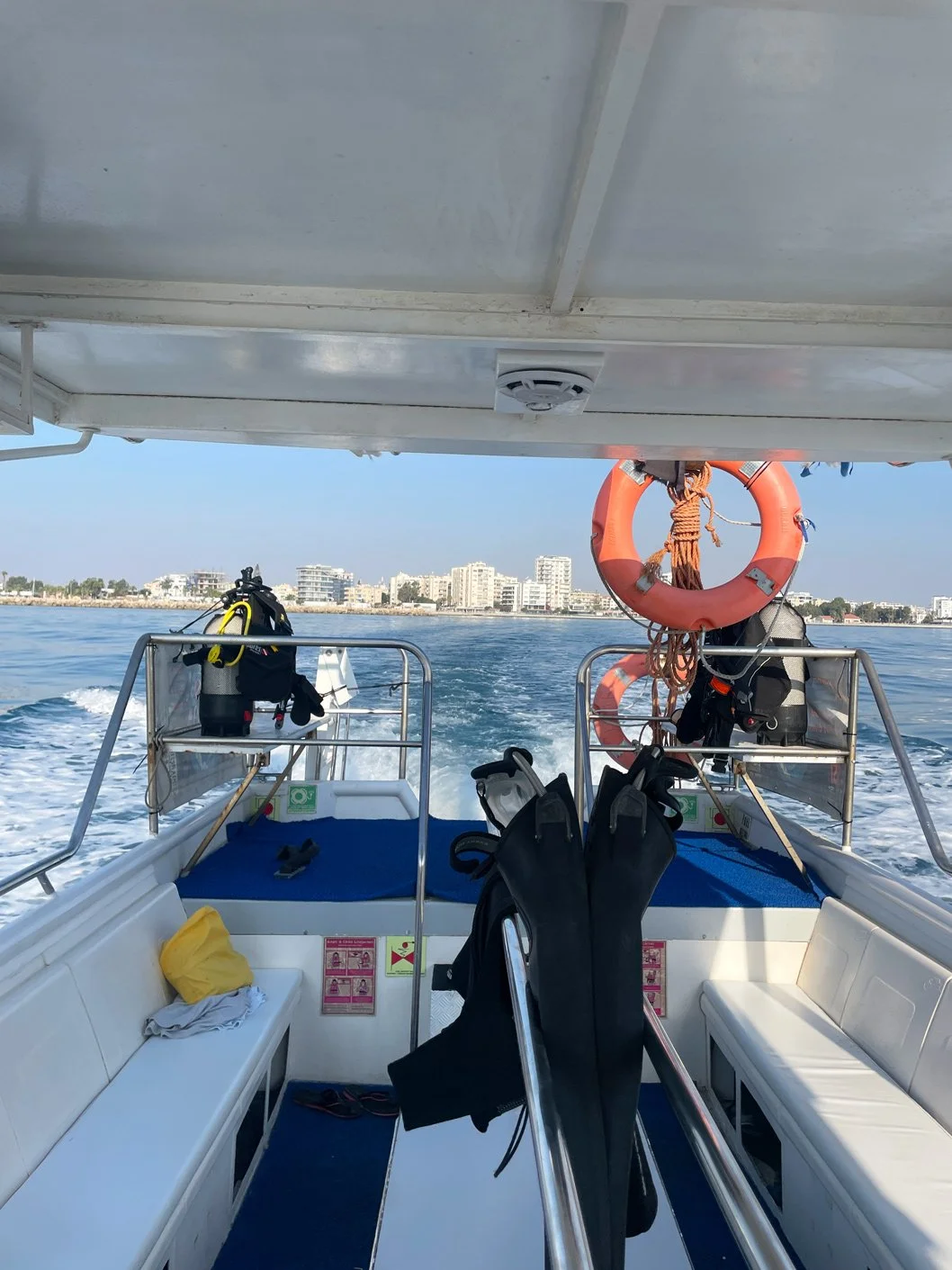 small-dive-with-2.jpg