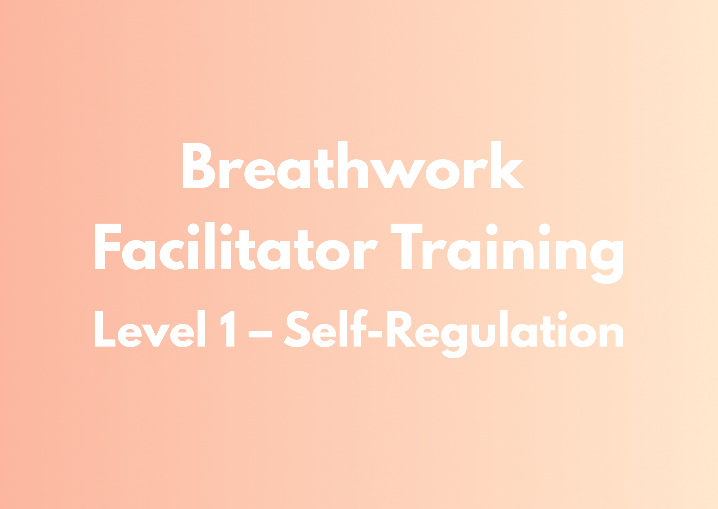 Facilitator Training · Level 1 | Hannover 