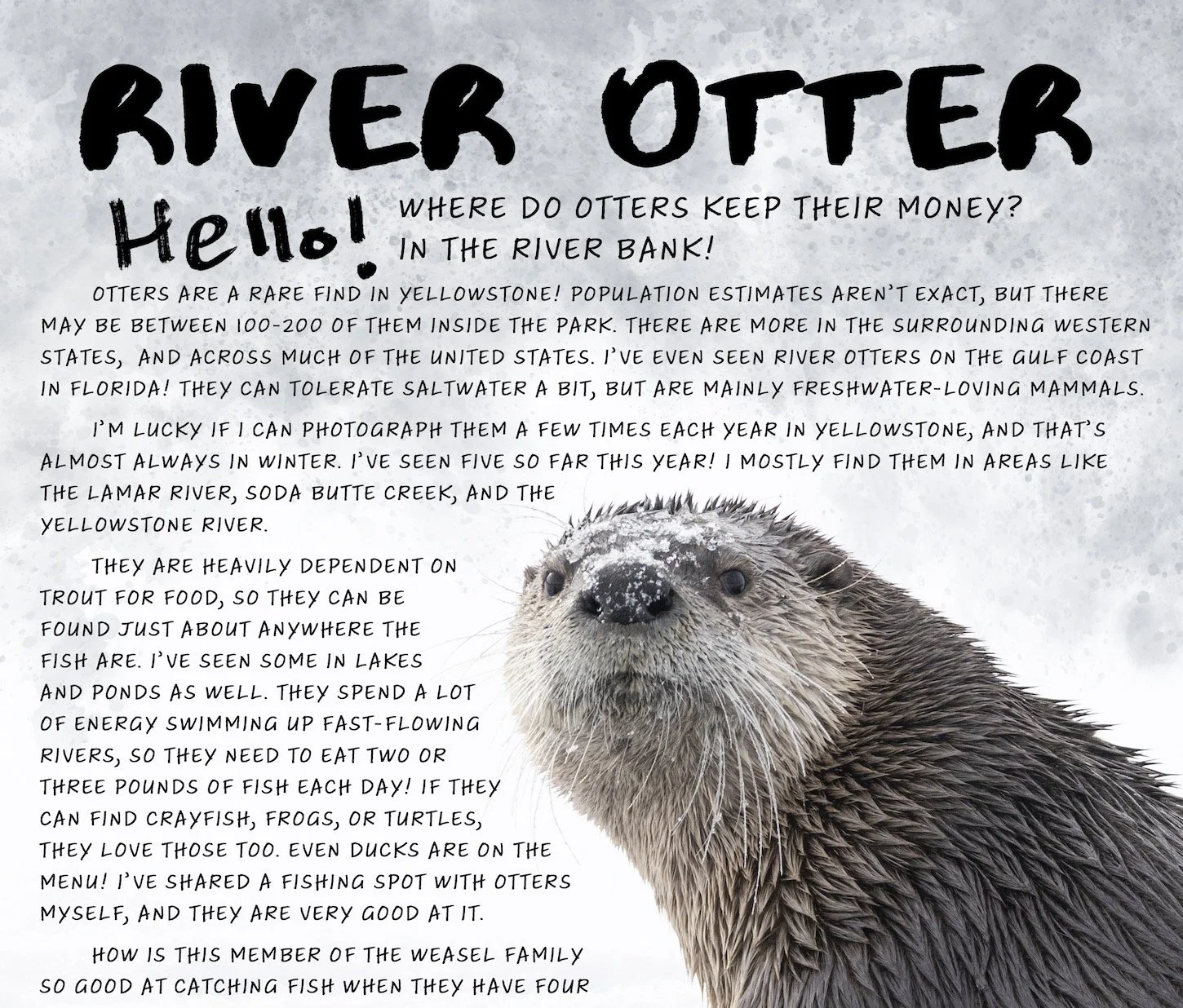 Screenshot 2026-02-14 at 8.35.44 AM.jpg