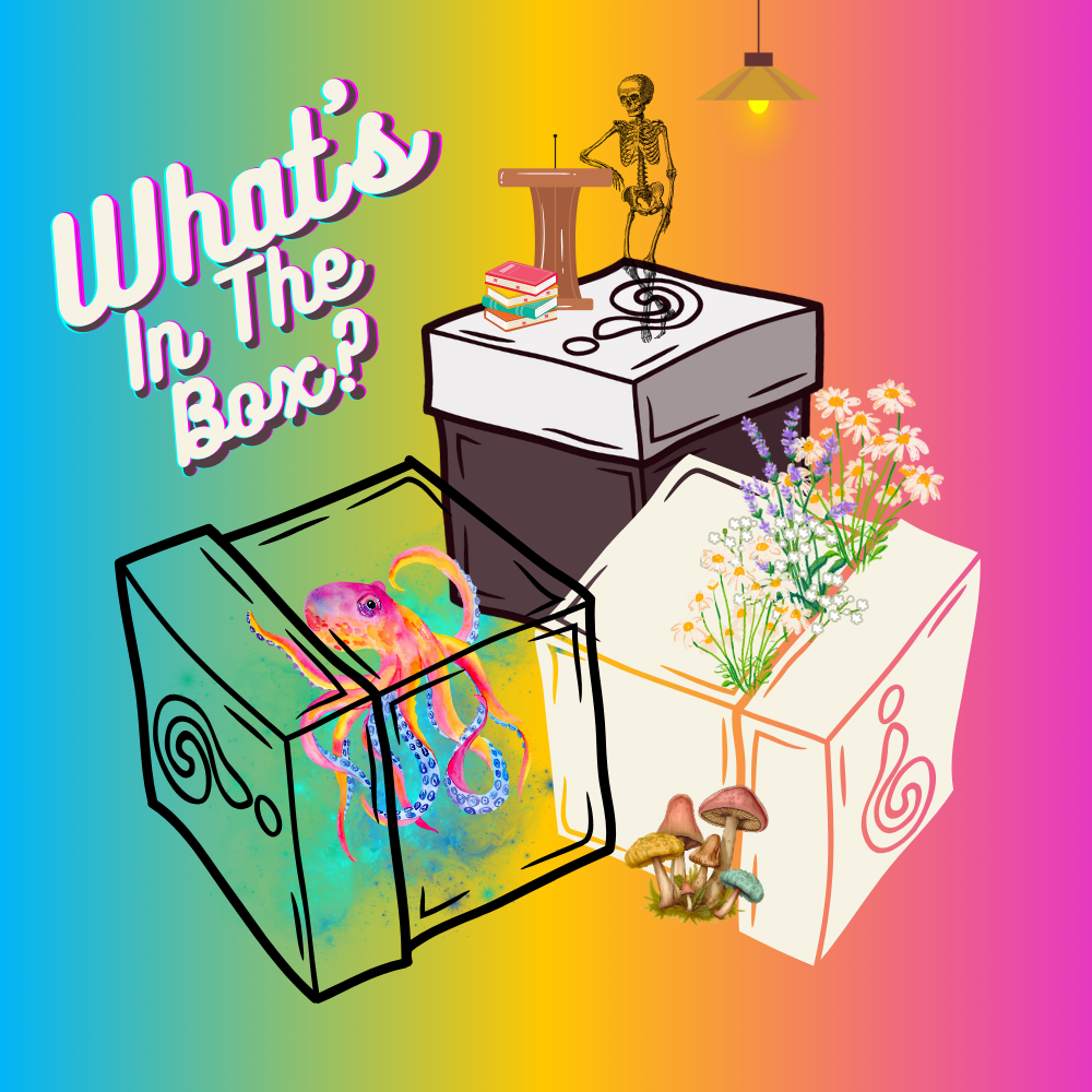 In+The+Box-9.webp