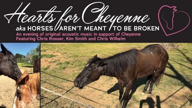 Hearts for Cheyenne aka Horses Aren’t Meant to Be Broken