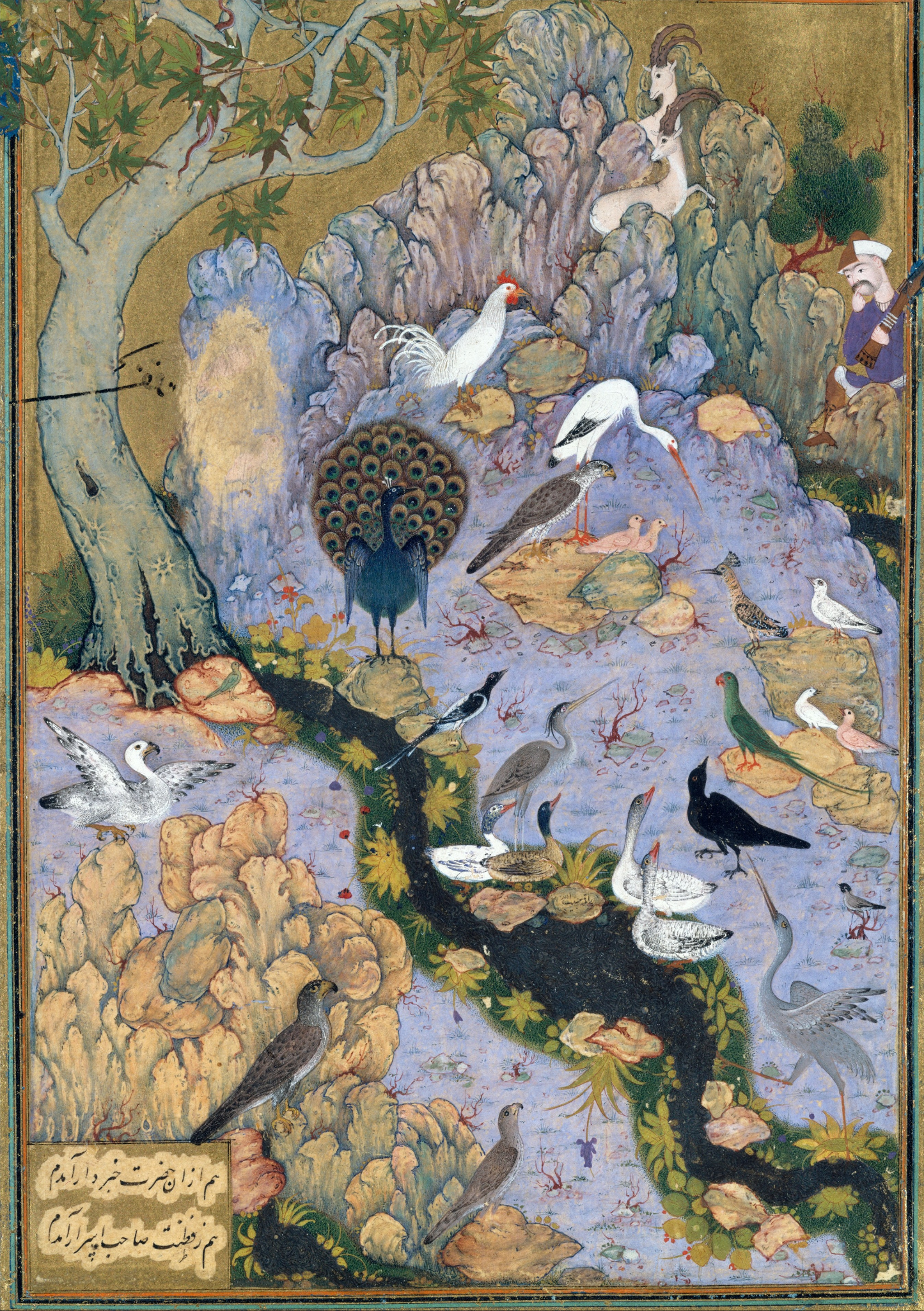   The Conference of the Birds: A Contemporary Retelling of the Great Sufi Folktale