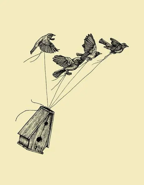 Poetry Primer: The Curious Practice of Paying Attention