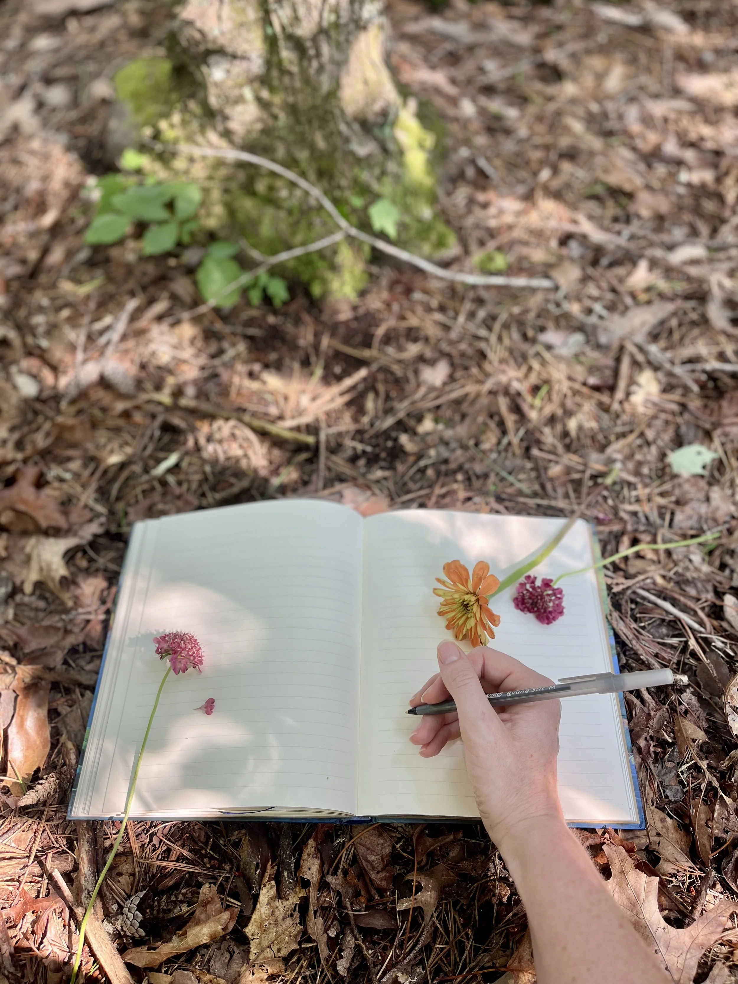 Writing From the Body: A Somatic Exploration of the Story Within