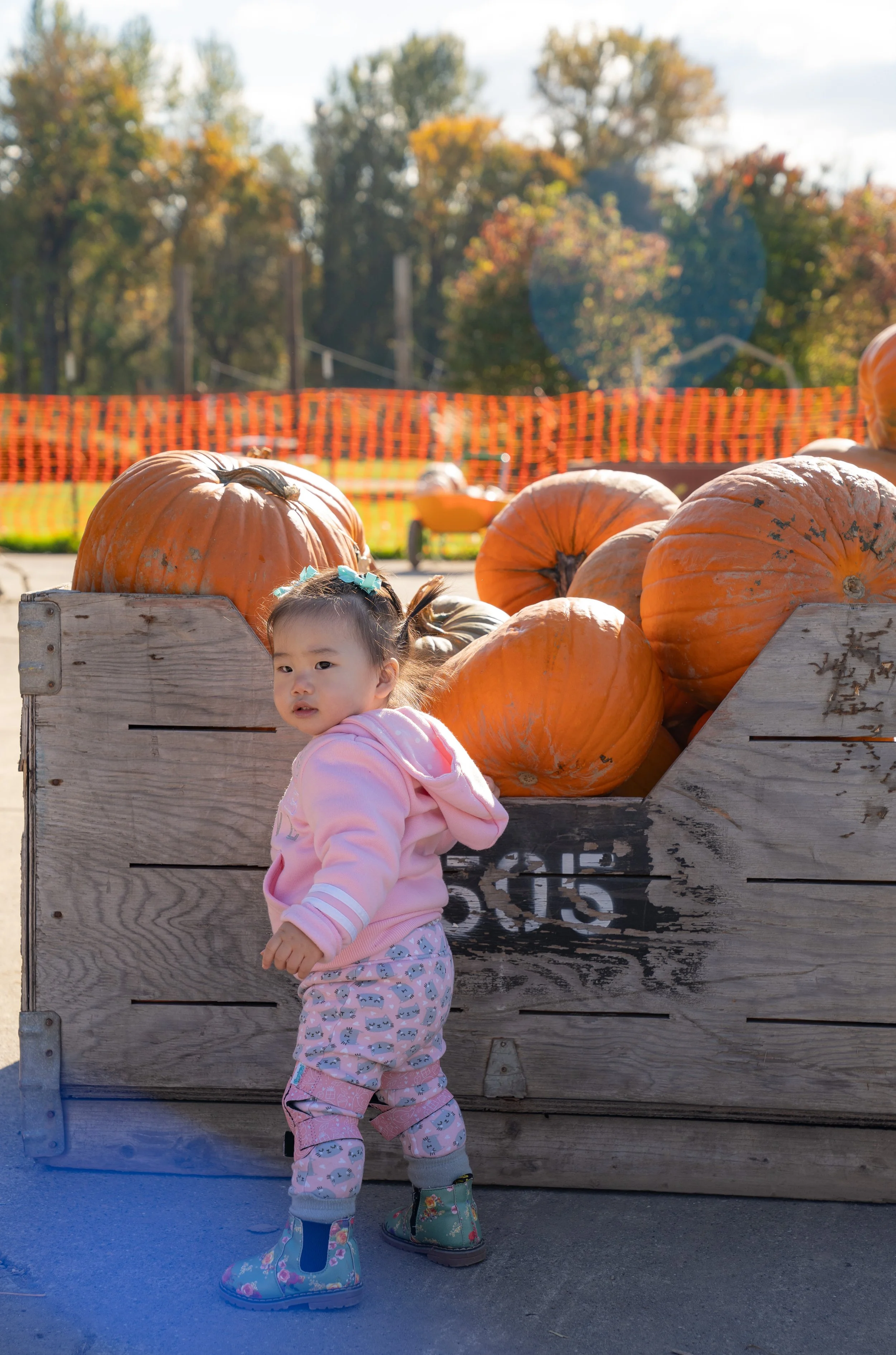 DSC03357.jpg