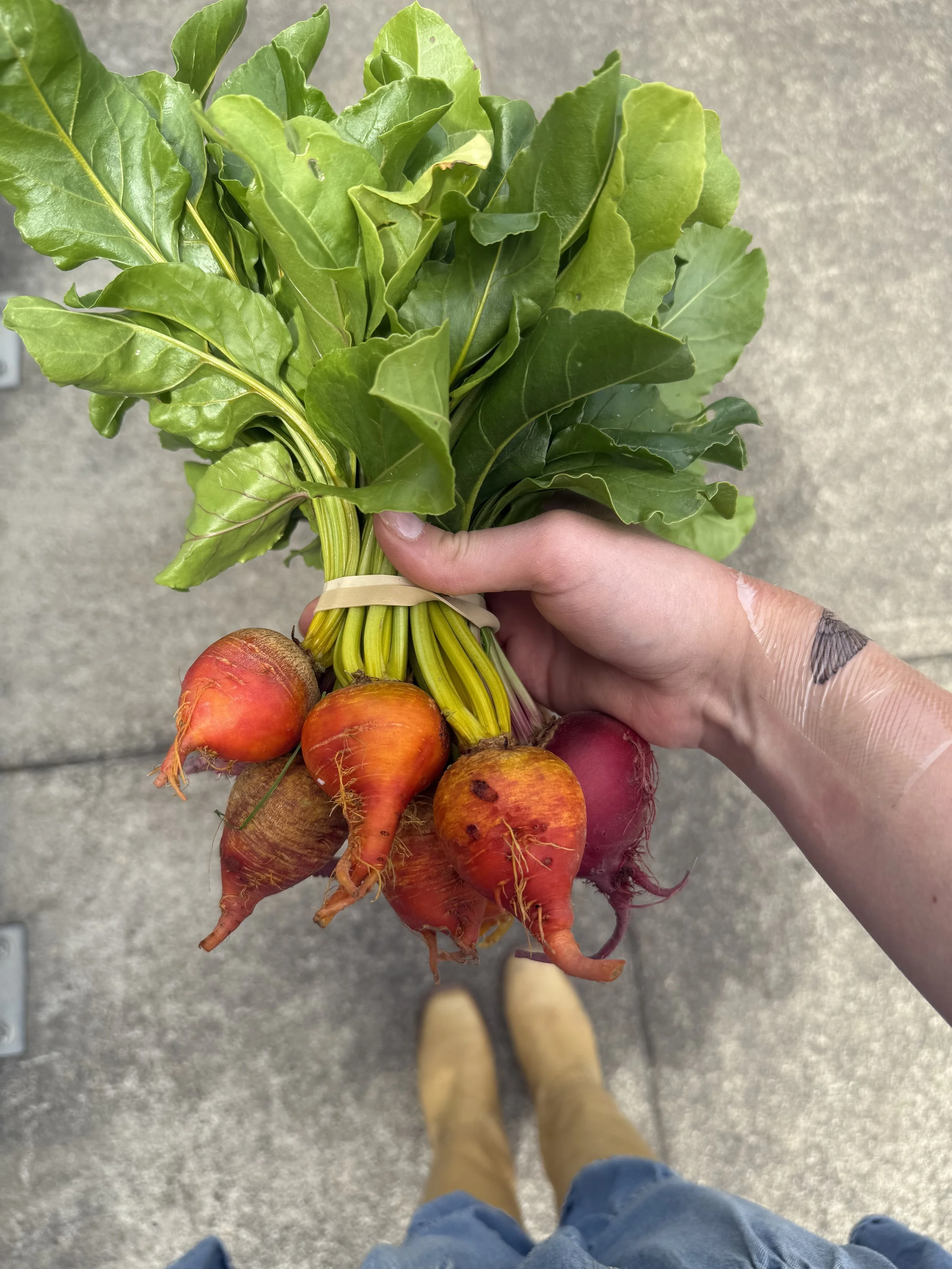 Farm + Fish Market Pick Up