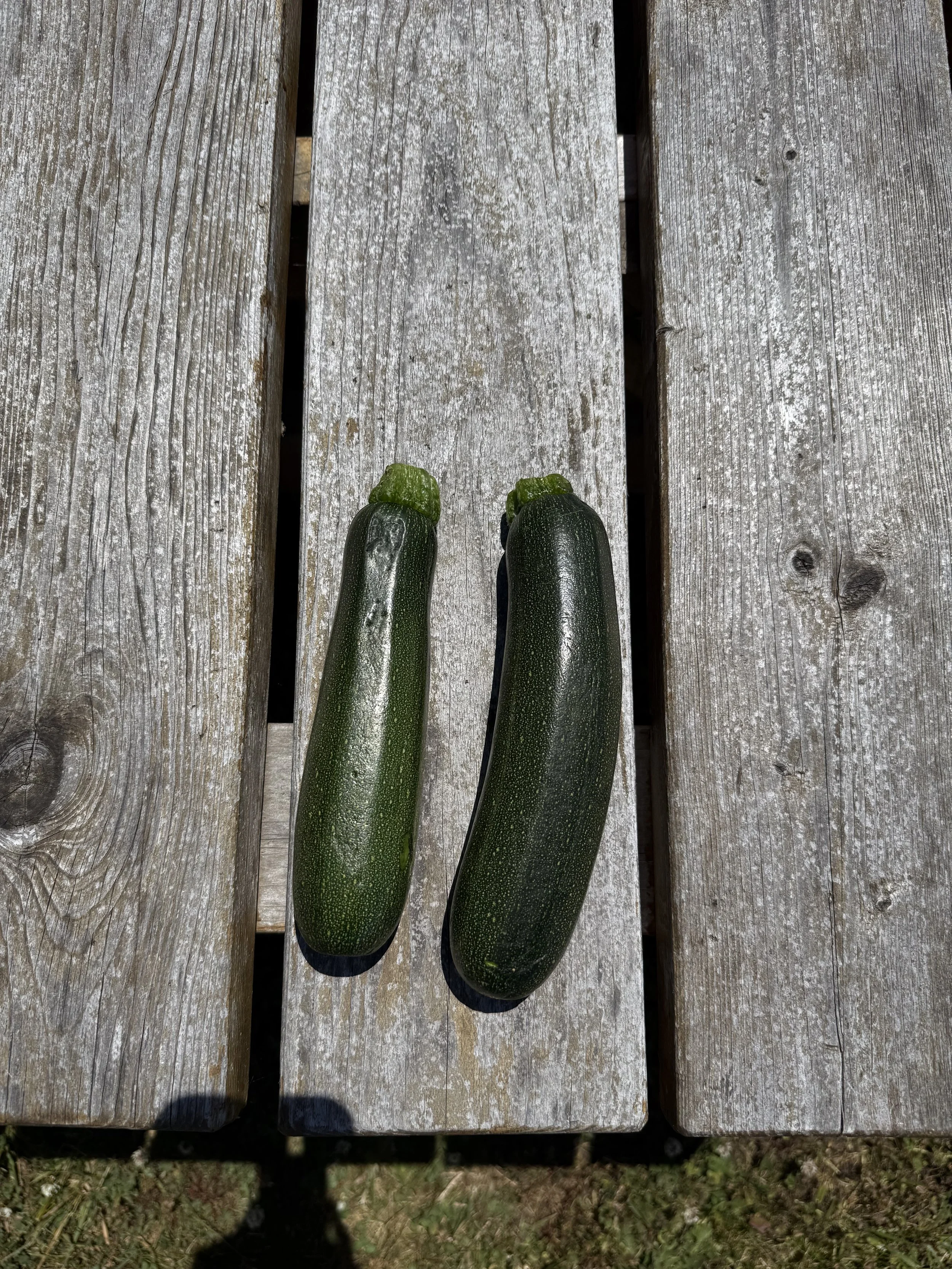 Place Farm + Fish Market order before midnight to pick up Thursday