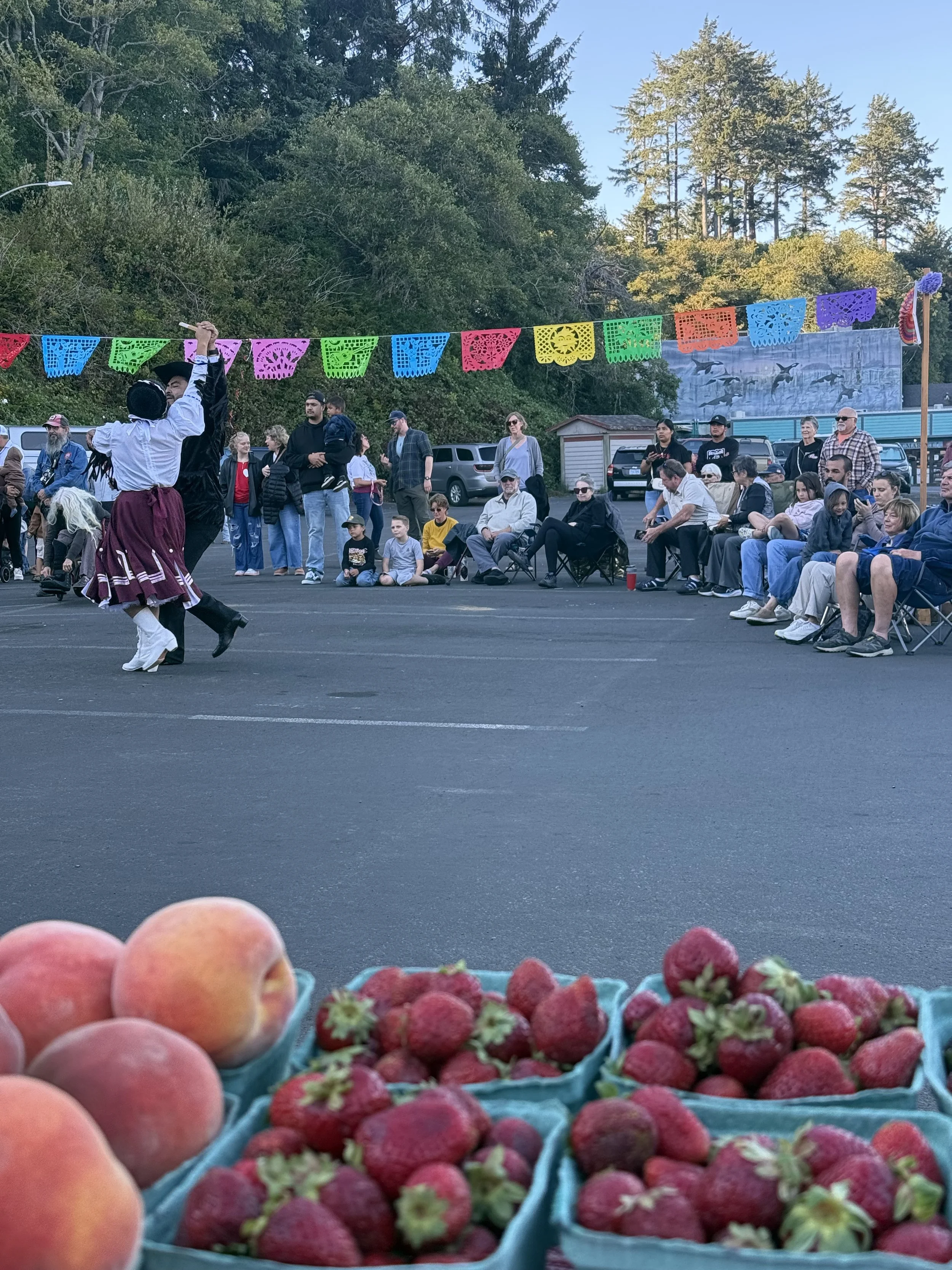 Noche Latina- Farm + Fish Market Pop Up with Producer, My Little Garden 