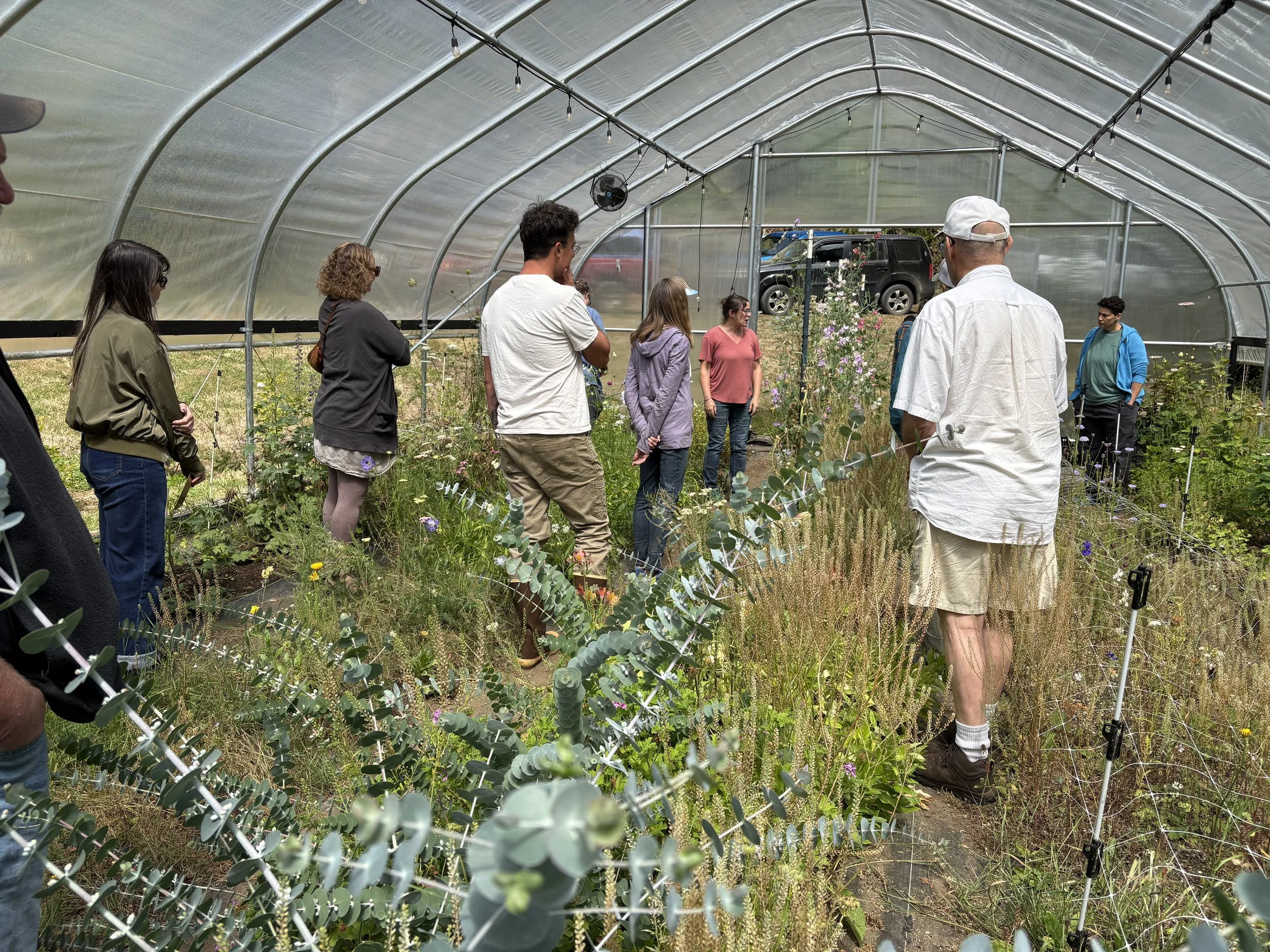 Beaver Creek Blooms Farm Tour