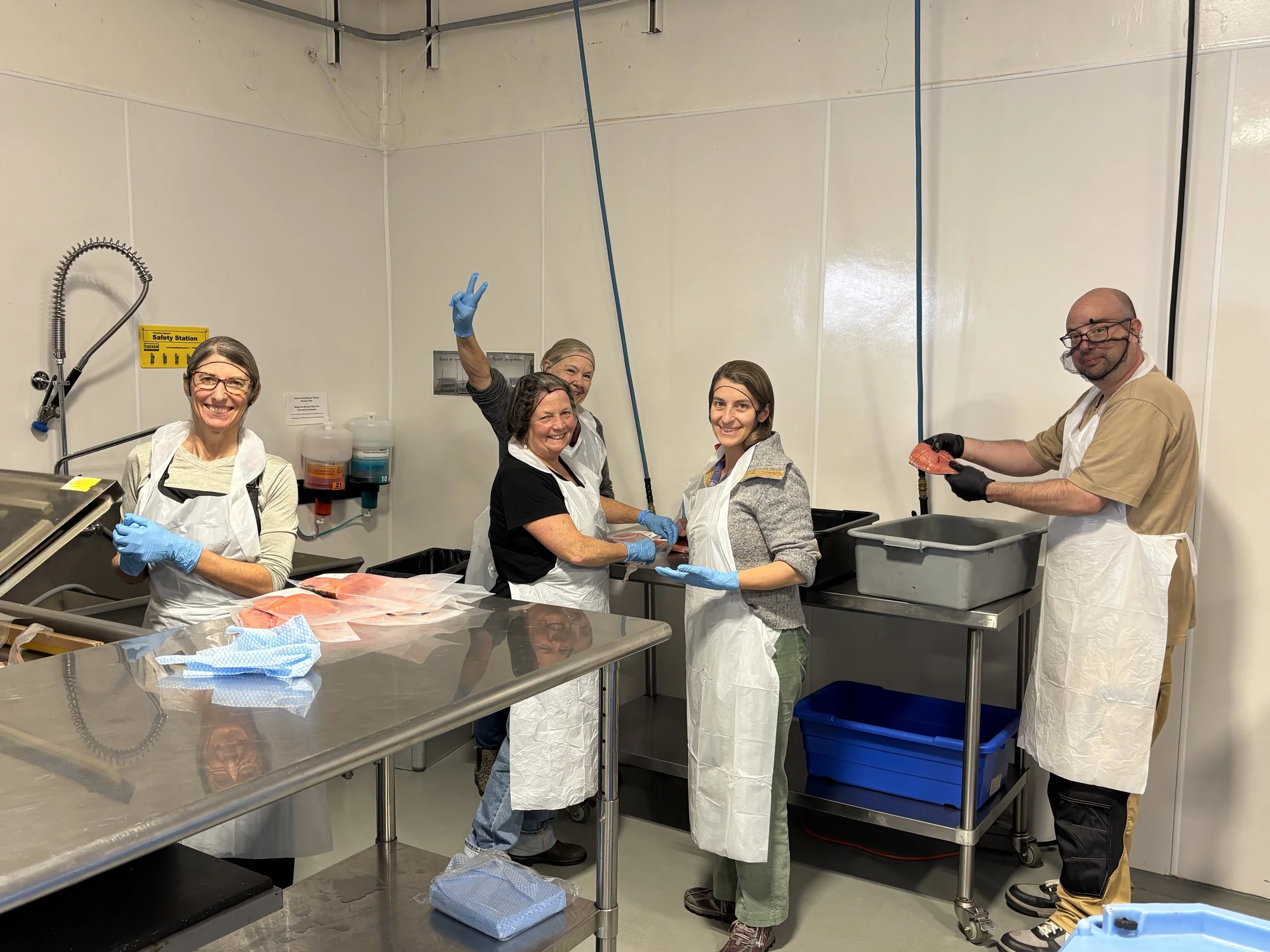Surplus Salmon- Fall Chinook Processing