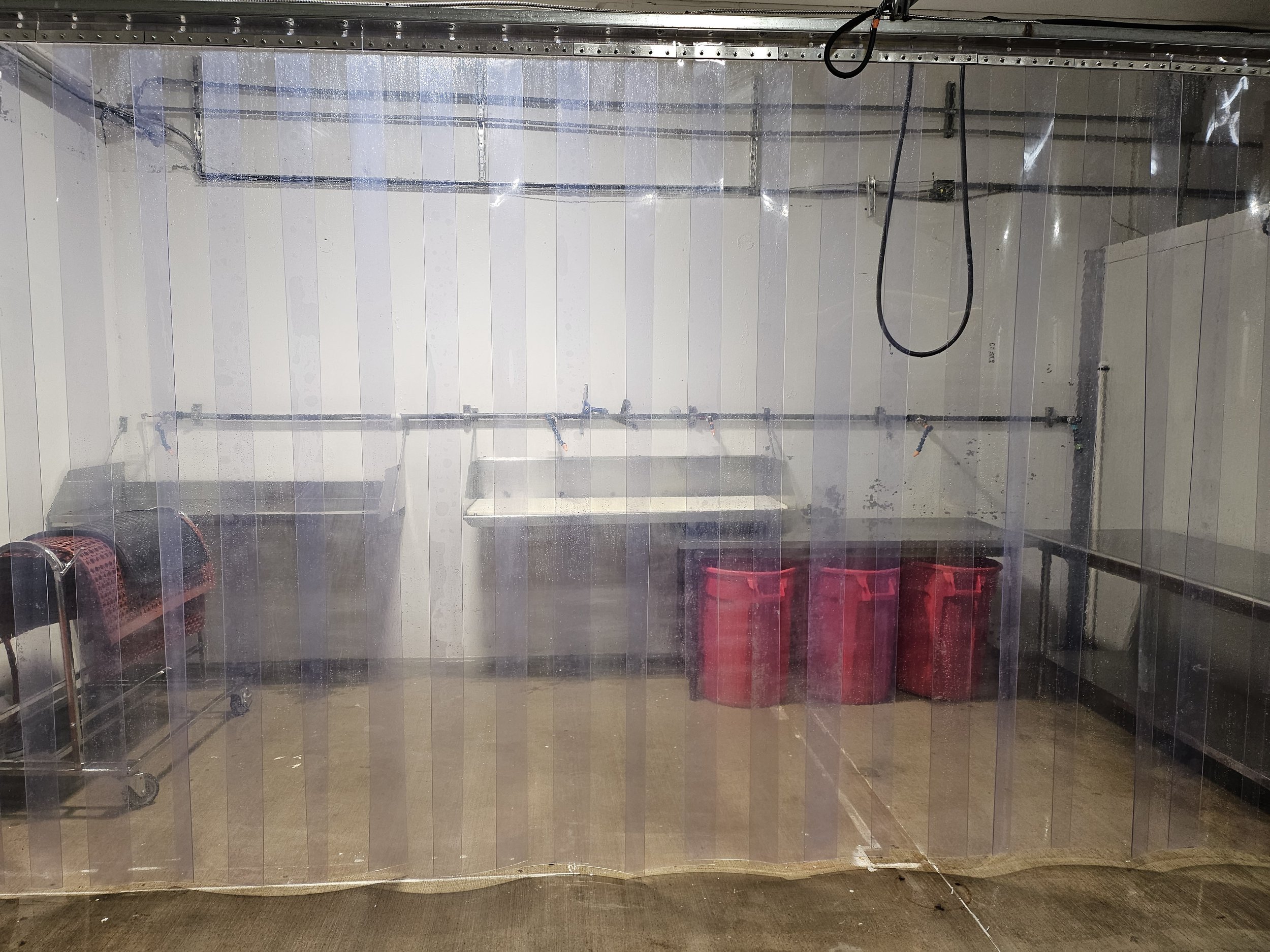 seafood processing area reset.jpg