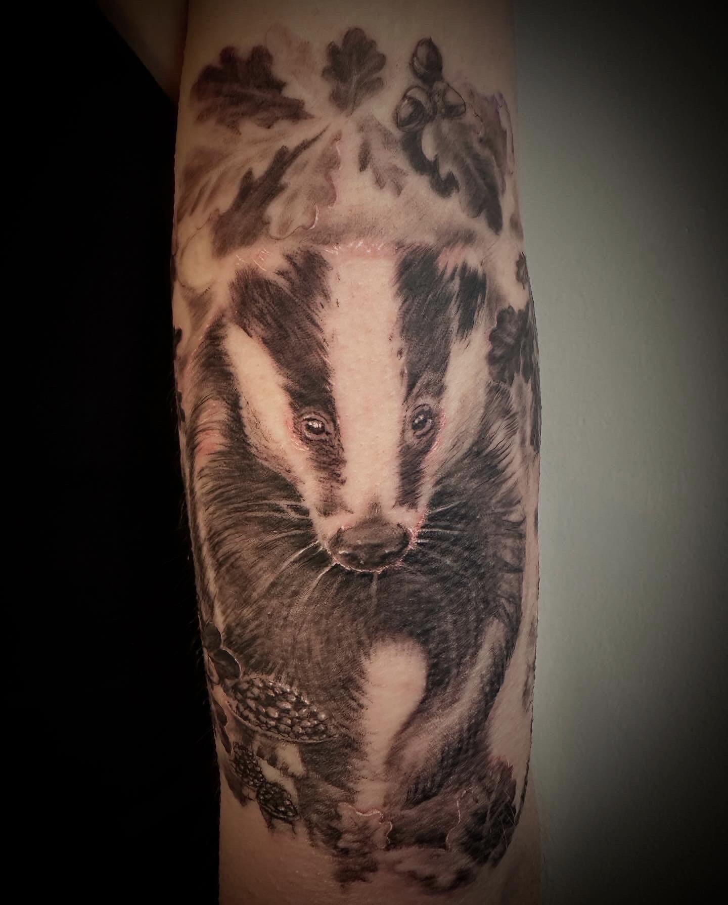 Black and grey Badger