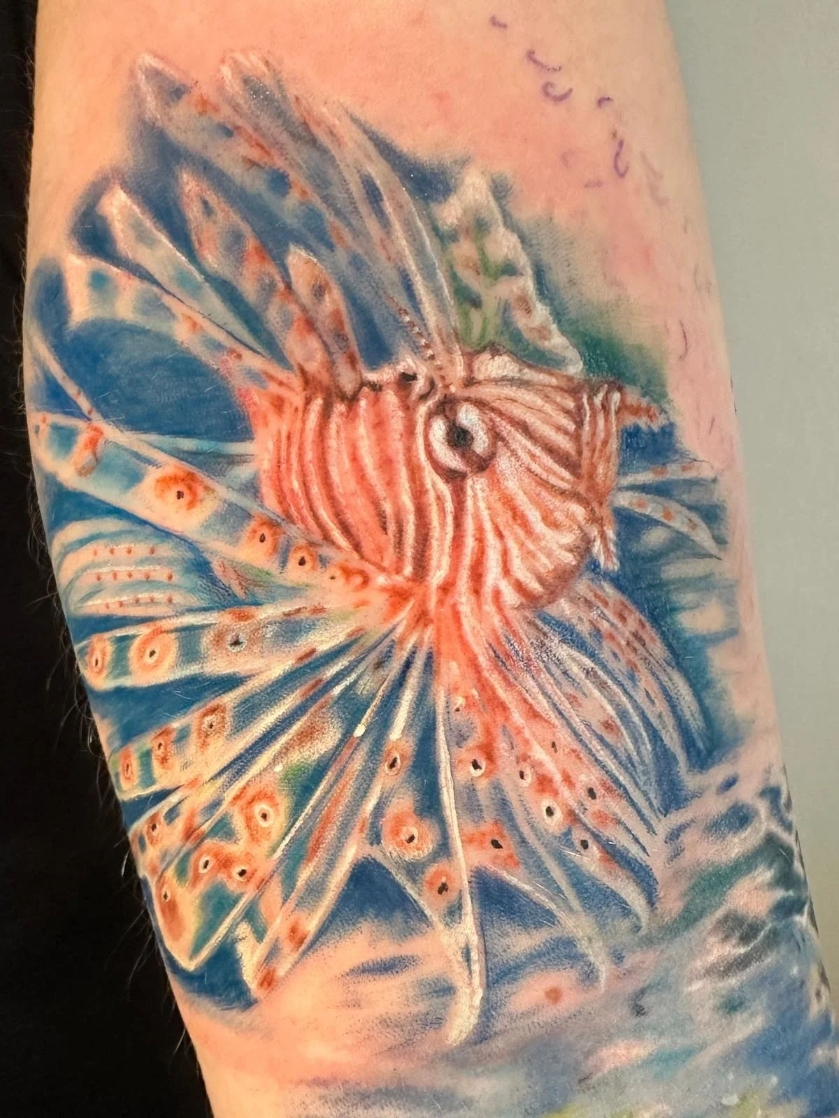 Realism colour fish