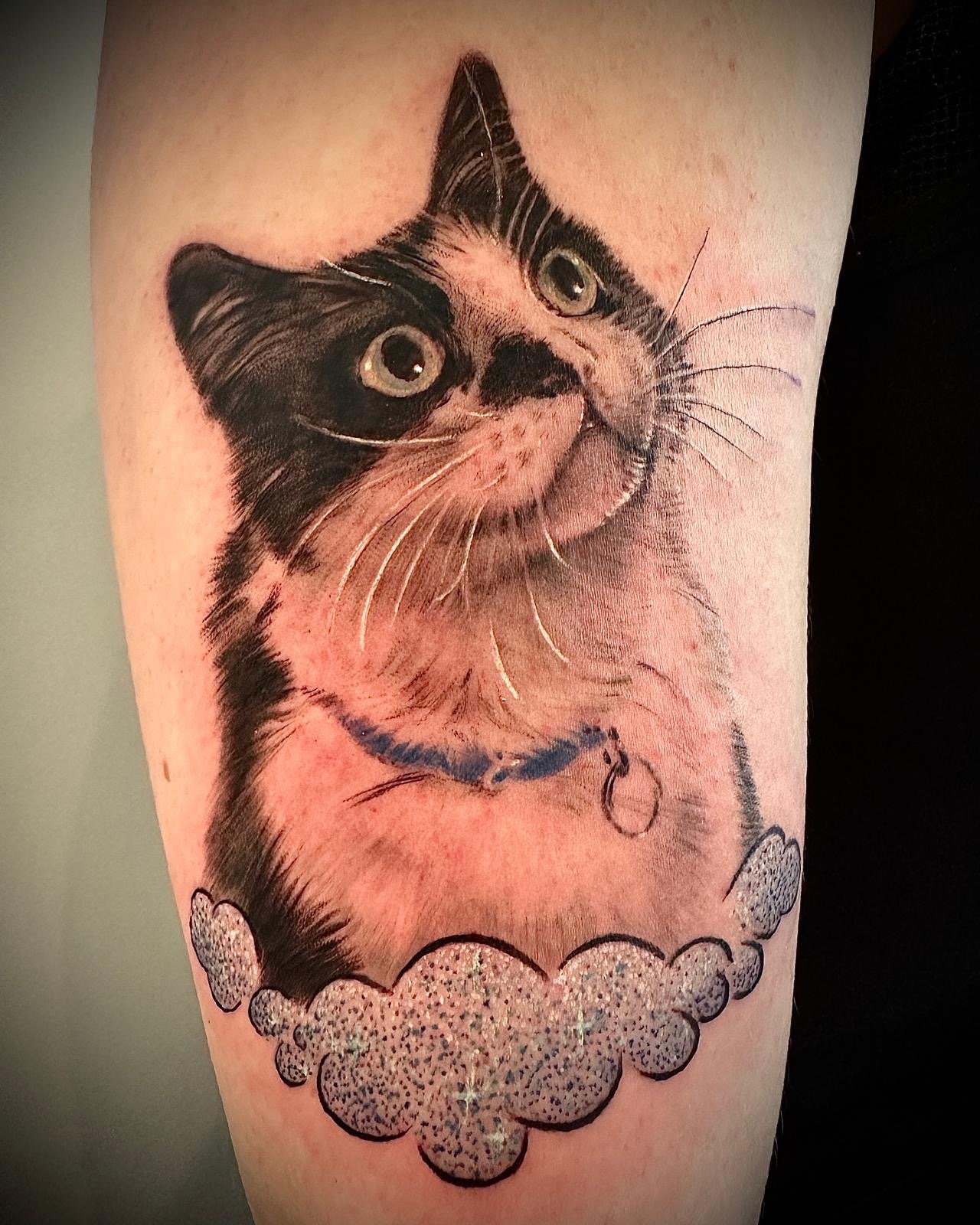 Realism cat