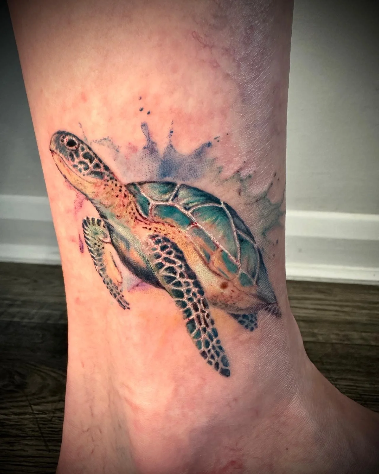 Colour realism turtle 
