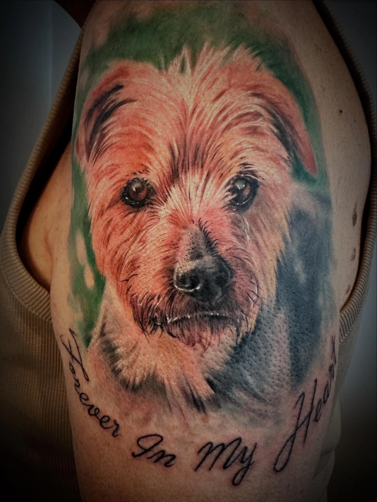 Realism colour dog portrait